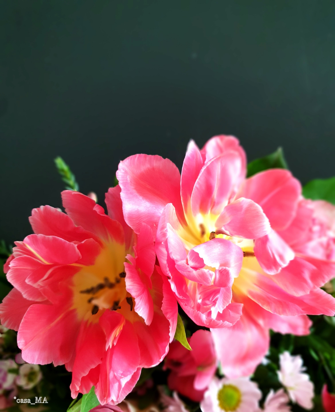 #pink explosion!!! #flowerpower #tulpen #tulpenliebe #gutelaune
