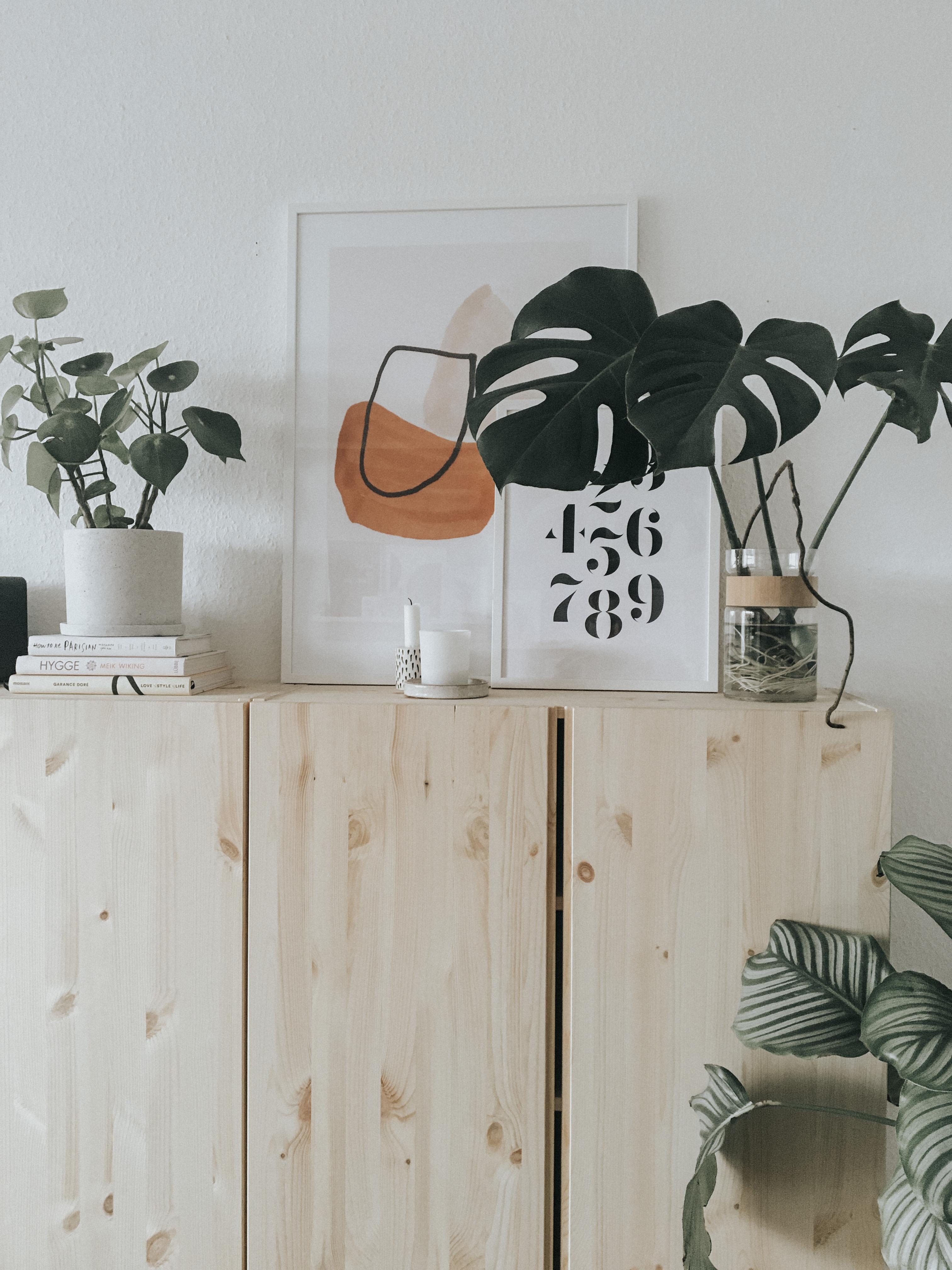 Plant-Friends 💚
#pflanzenliebe #couchstyle #livingroom #inspiration #scandi