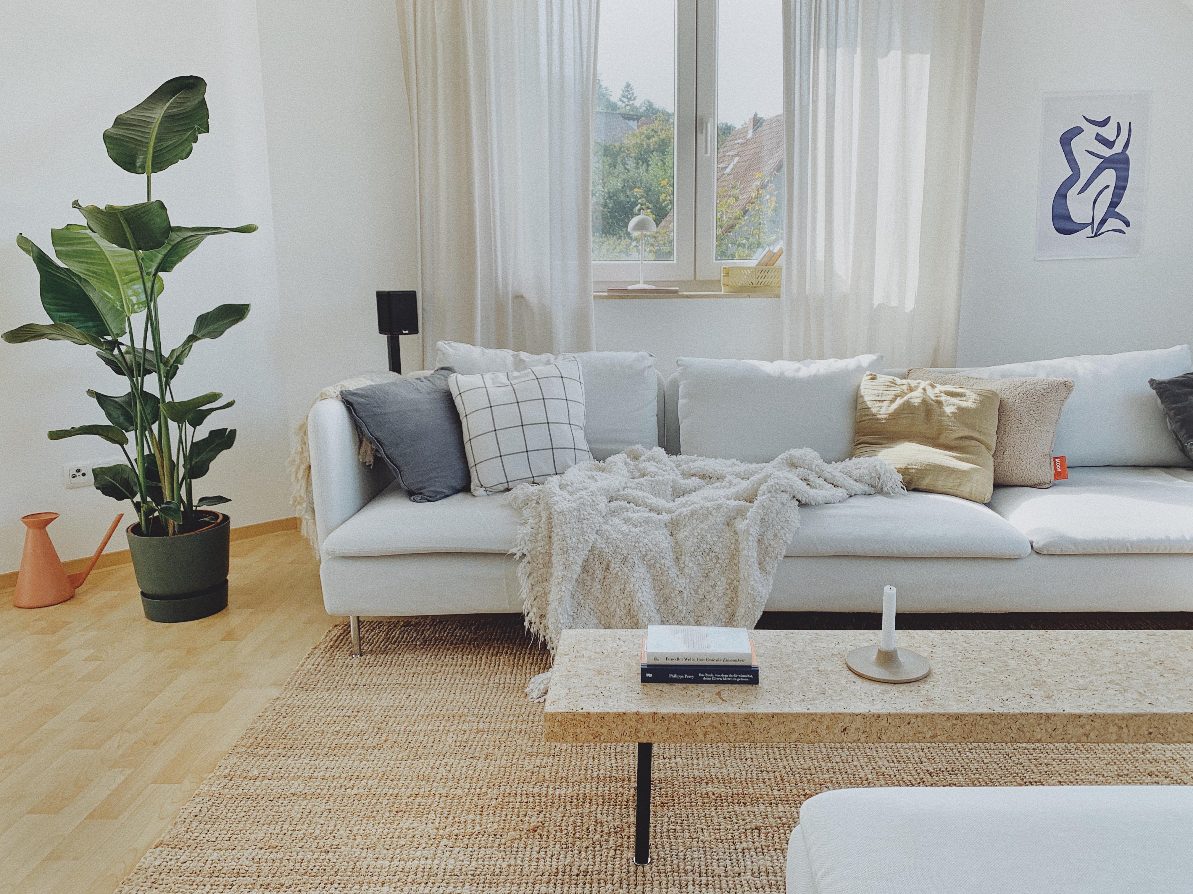 #plant #livingroom #cozy #interior #couch #cozy #herbststimmung #spätsommer #home