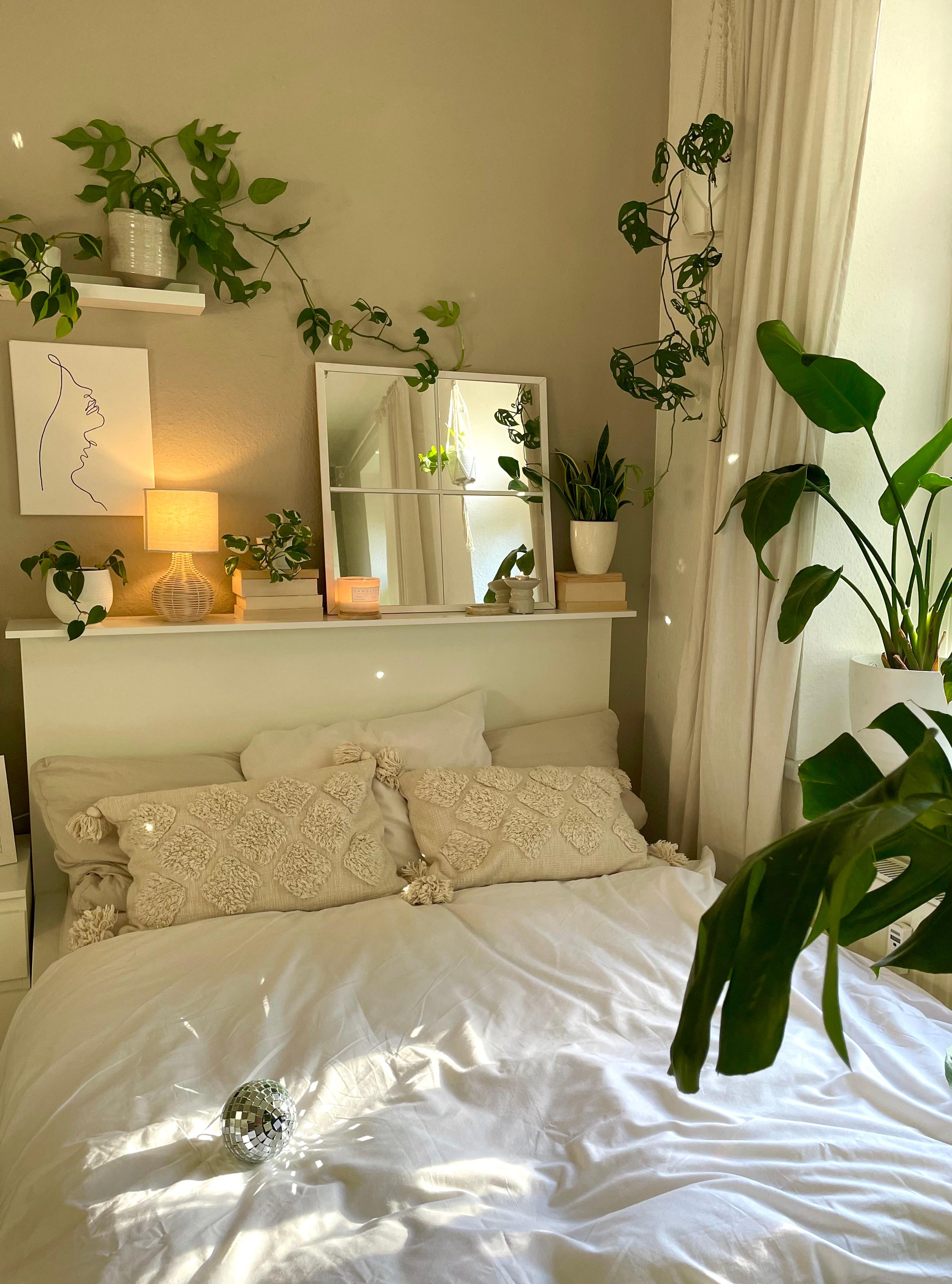 Plant Party 🪴

@apartmentbygina

#wolkenfeld #bettwäsche #schlafzimmer #bedroom #interior #plants #herbst
