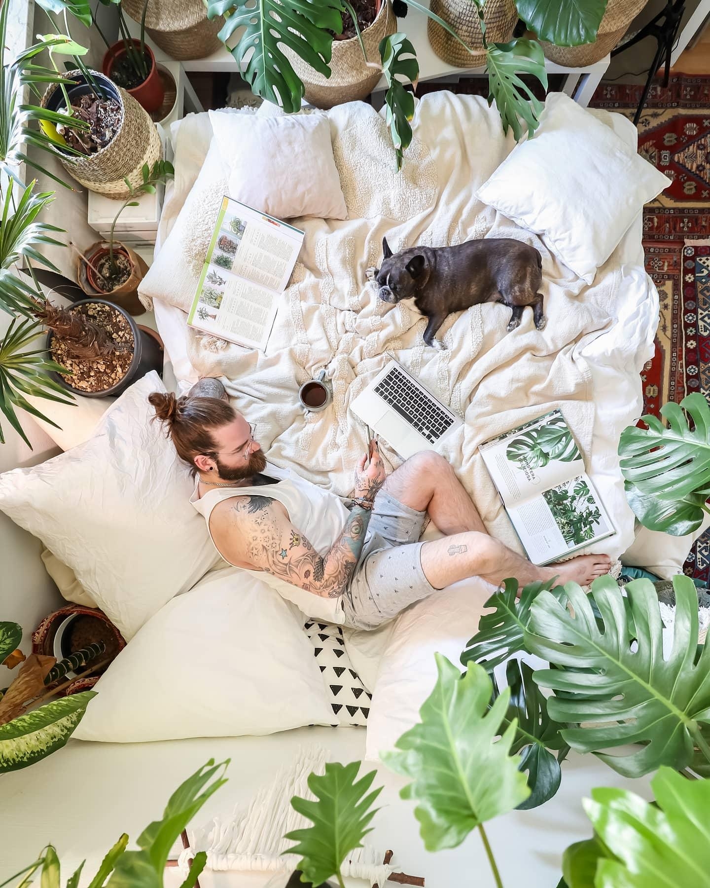 PLANT RESEARCH 📙🌿💻🌴🤳🏼 #schlafzimmer #bett #pflanzen #couchstyle #hippie #boho
