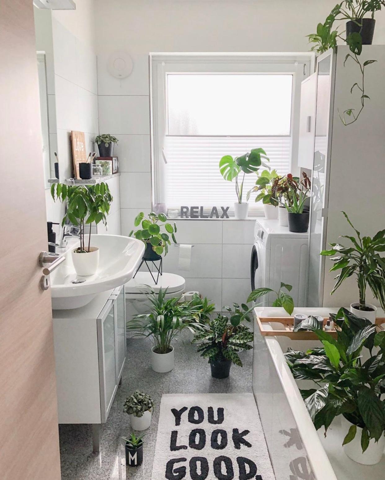 #plantgang #livingchallenge #couch #plants #bathroom 