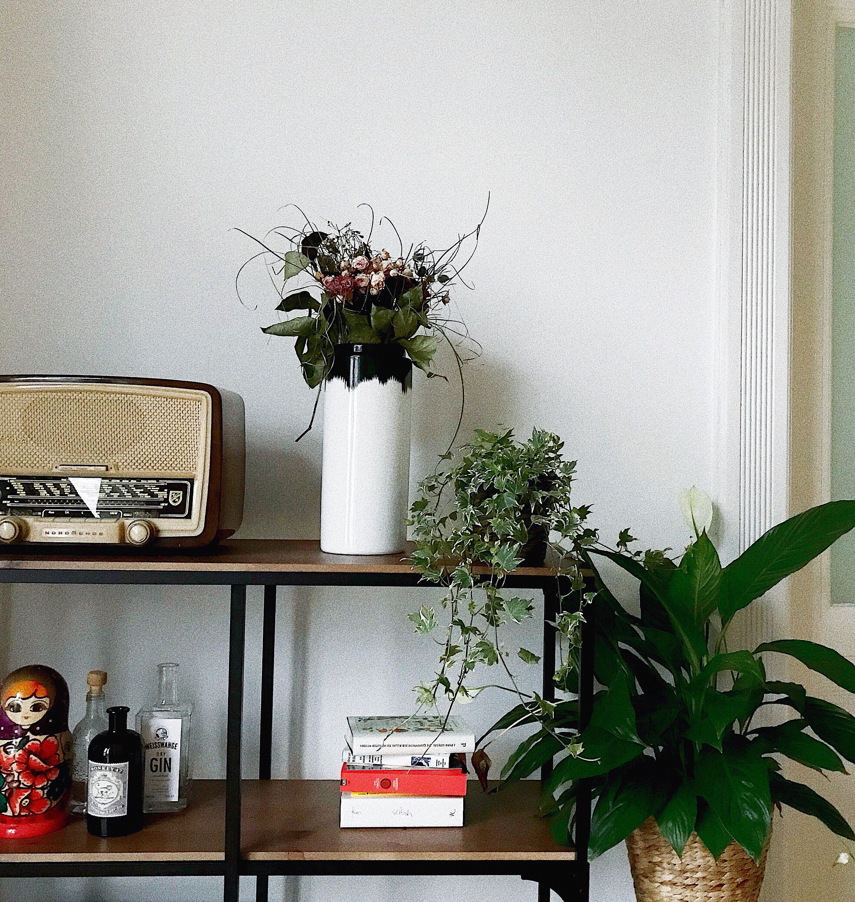 plants are friends 🌿 #interior #living #einrichtung