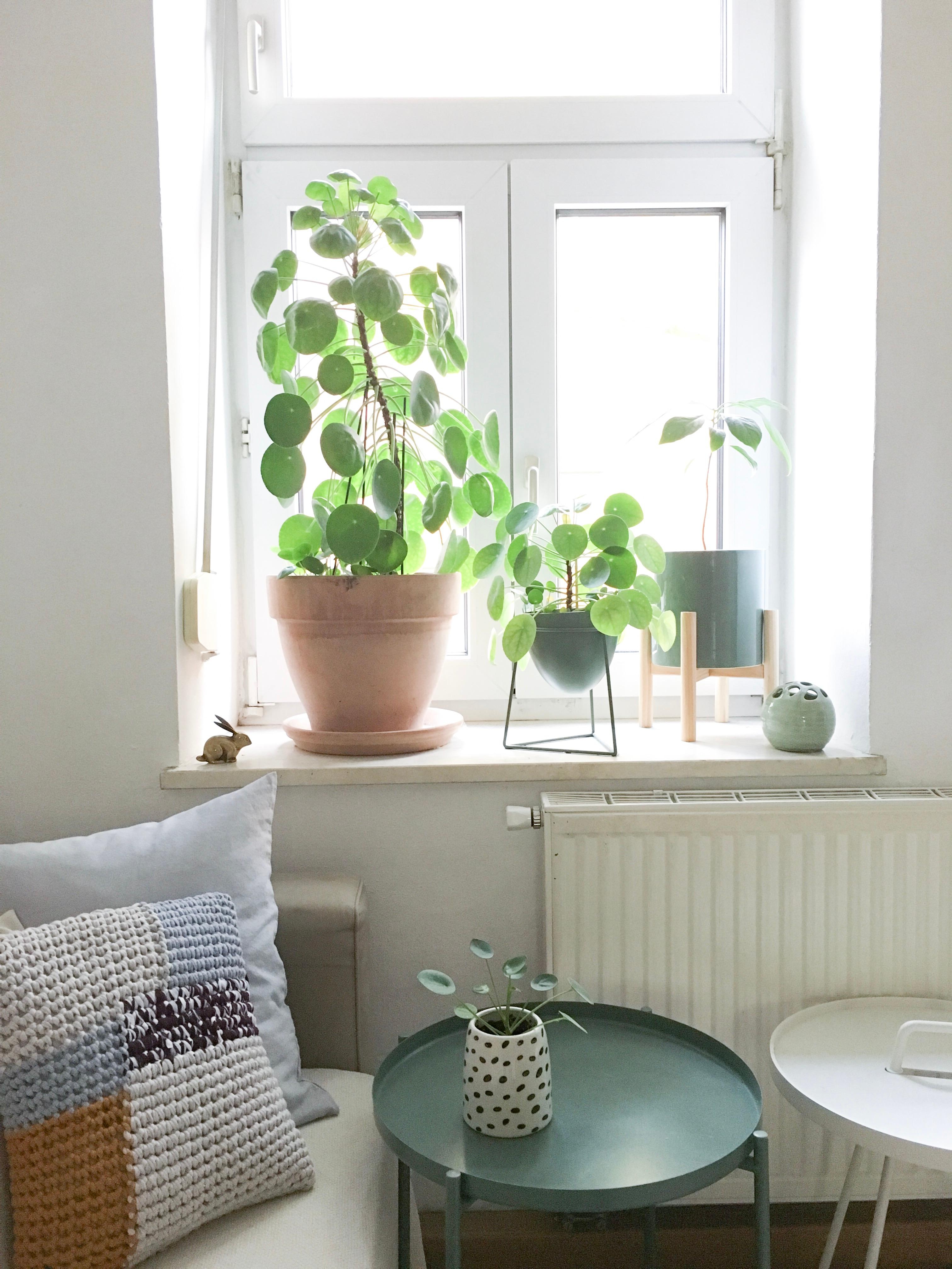 #plants #grün #wohnzimmer #window #couch #textiles #lumikello 