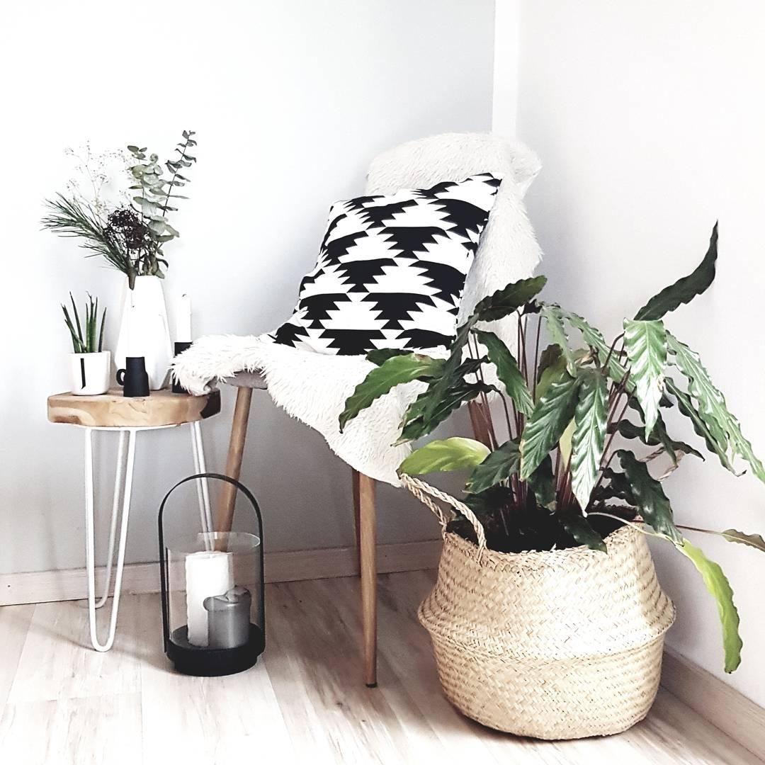#plants #leseecke #pflanzenliebe #livingroom #corner 