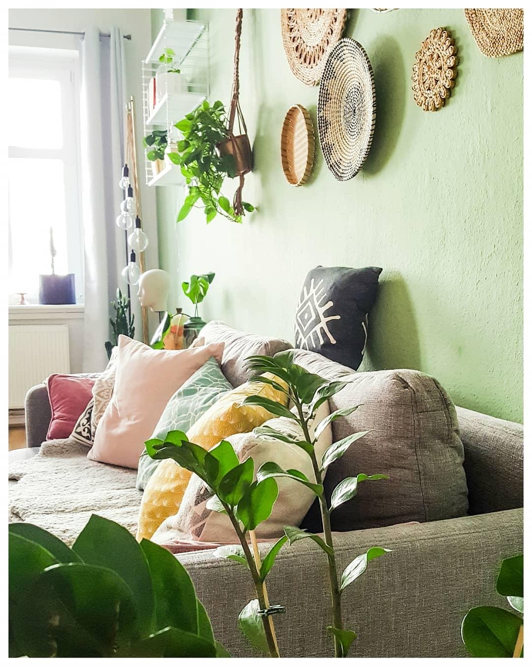 #plantslove#livingroom