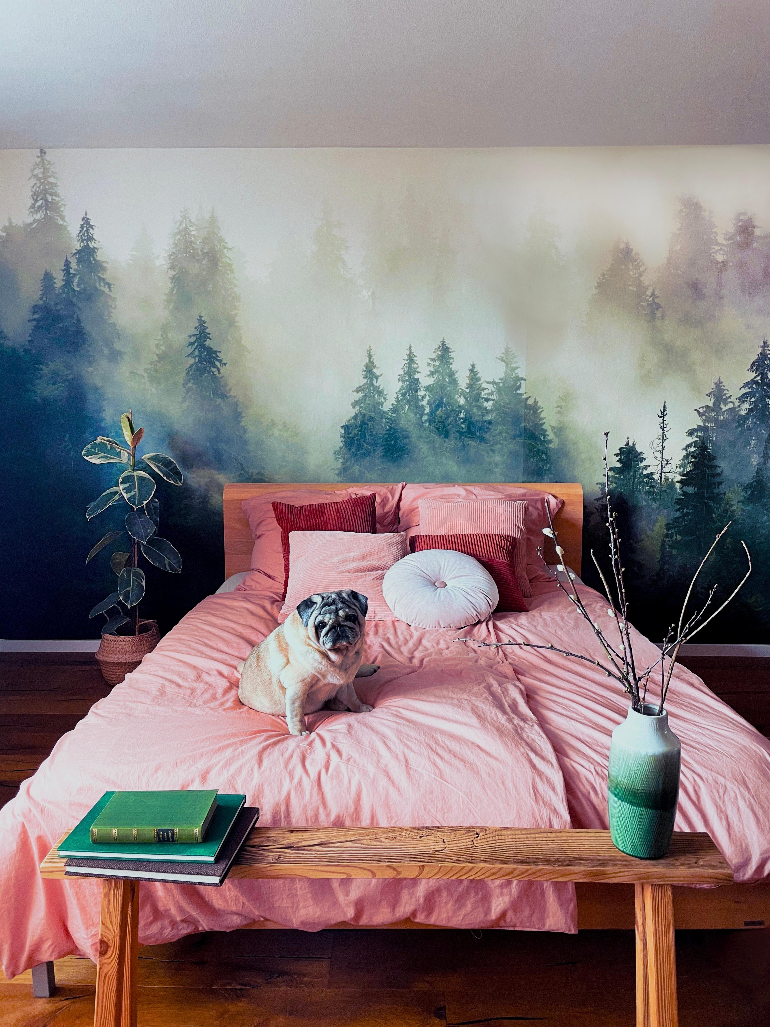 #pug #mopsliebe #fototapete #tapete #bedroom #schlafzimmer #bett