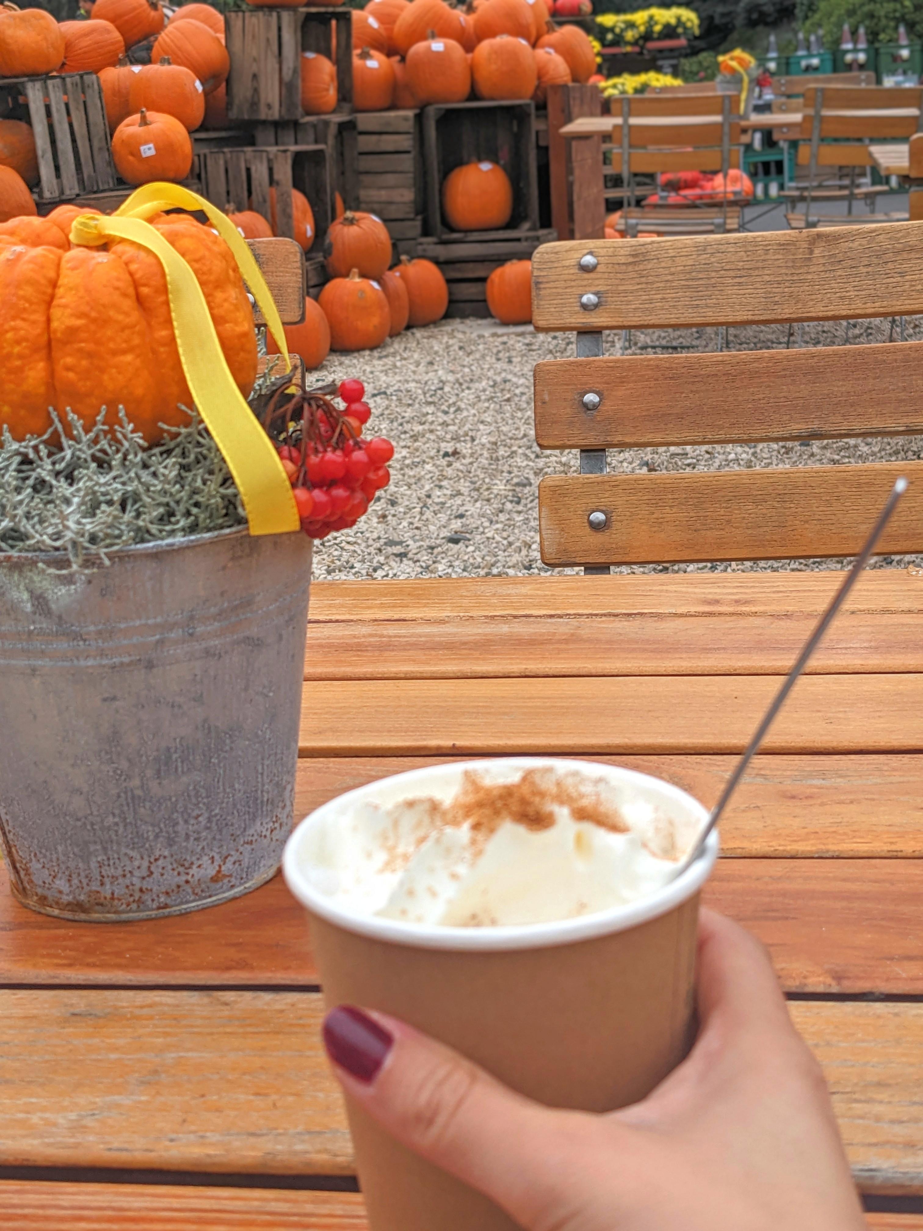Pumpkin Spice Latte im Kürbishof genießen. 🎃☕
Meine Wohnfühloase.
#kürbis #herbst #pumpkin #halloween