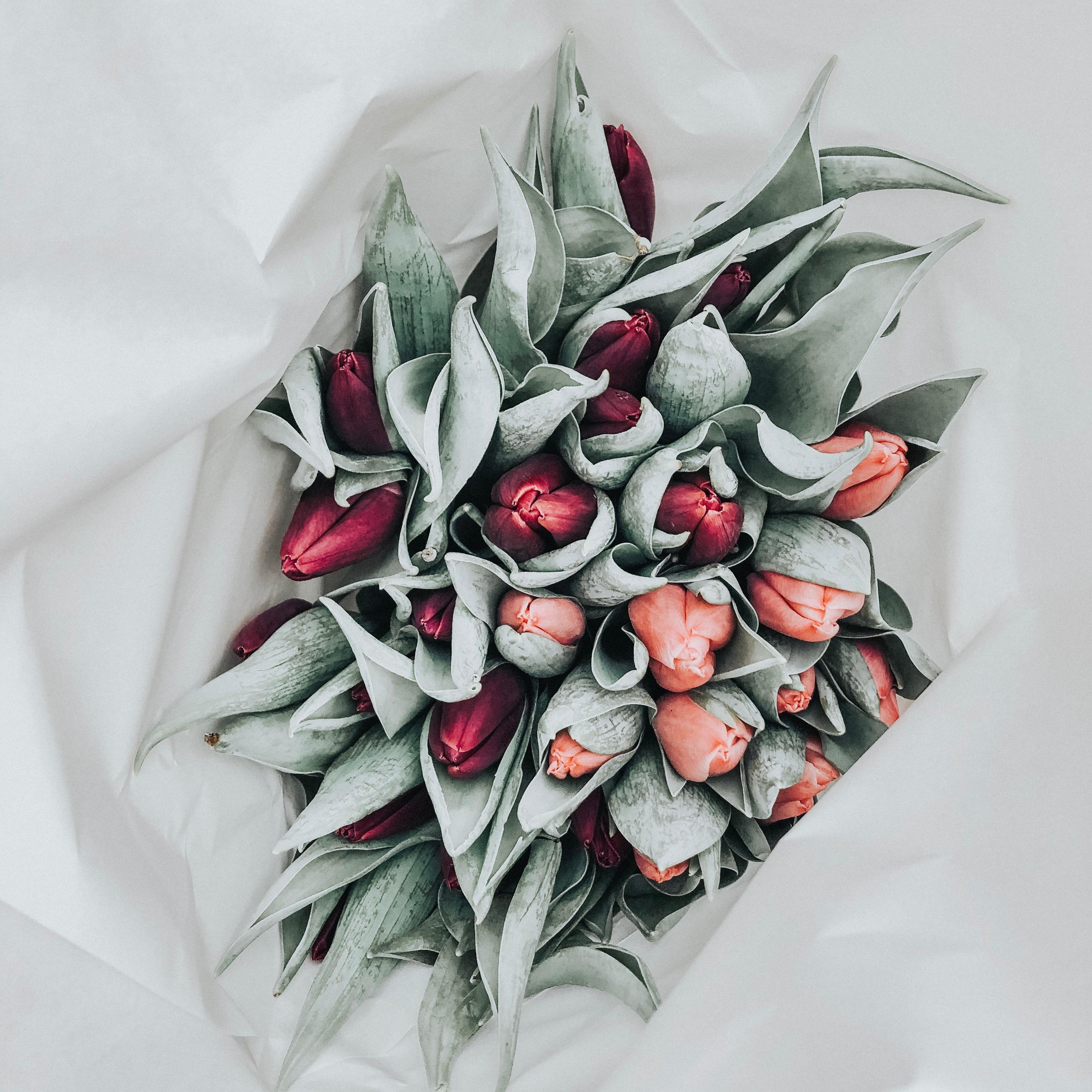 pure happiness #fridayflowers #blumen #bouquet #interior #homedecor #thesimplethings #dekor #bunt