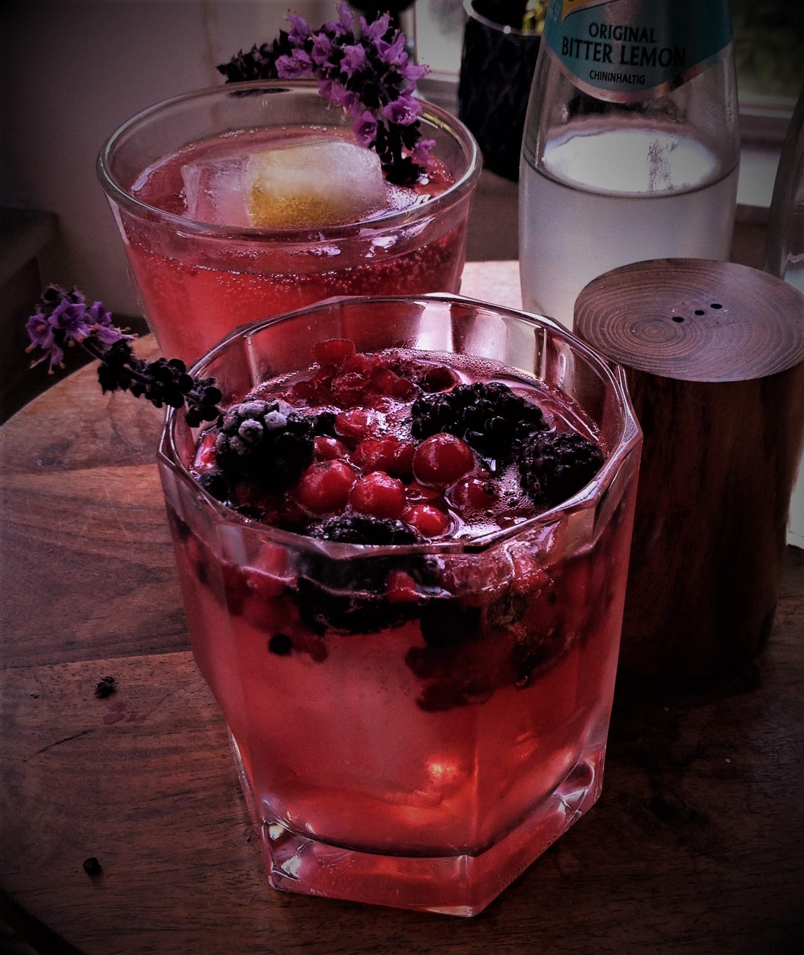 redberry-Gin mit Basilikum...       salud!!!          