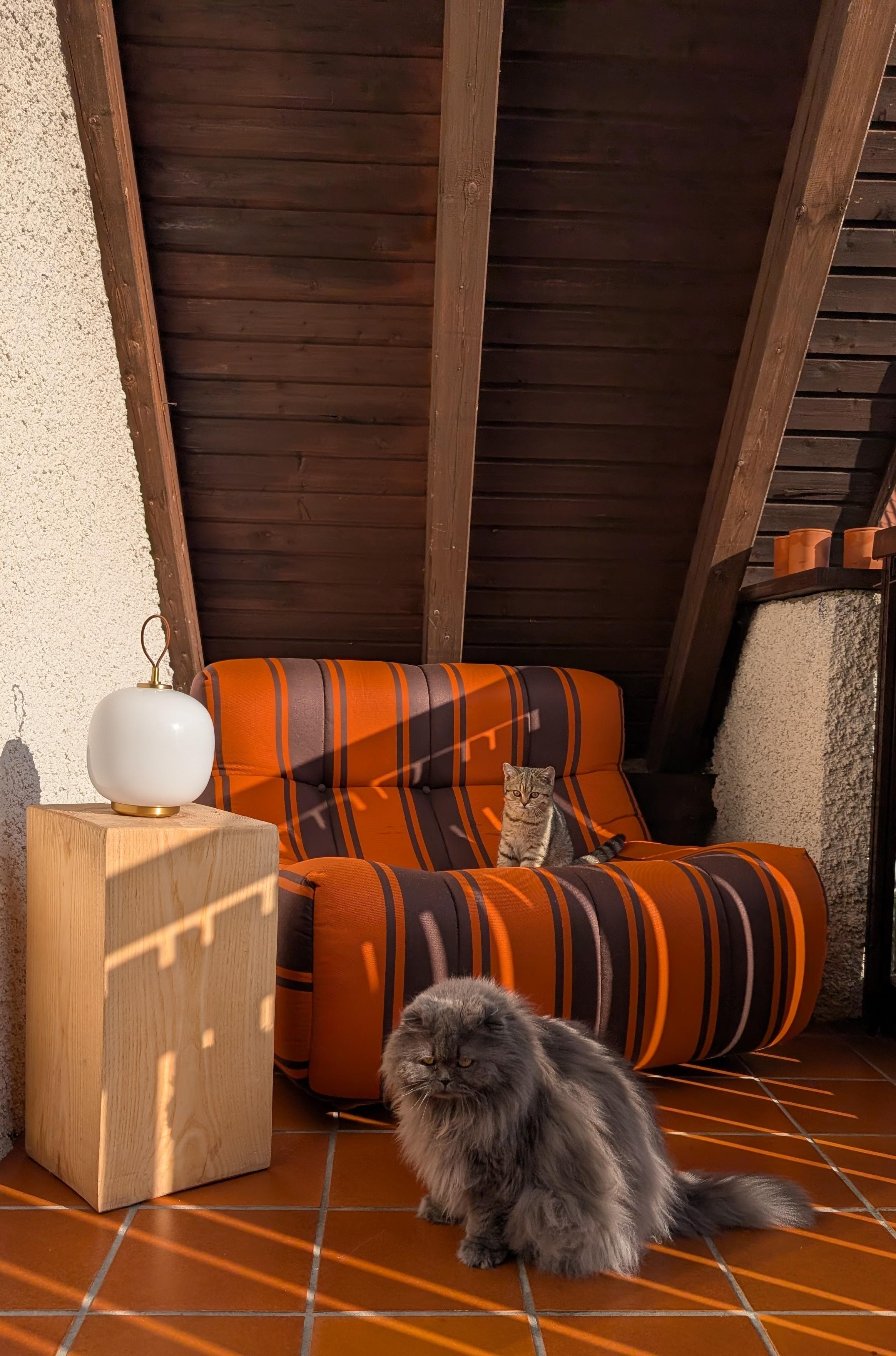 Retrovibes #balkon #sonne #interior #cats #lieblingsecke 