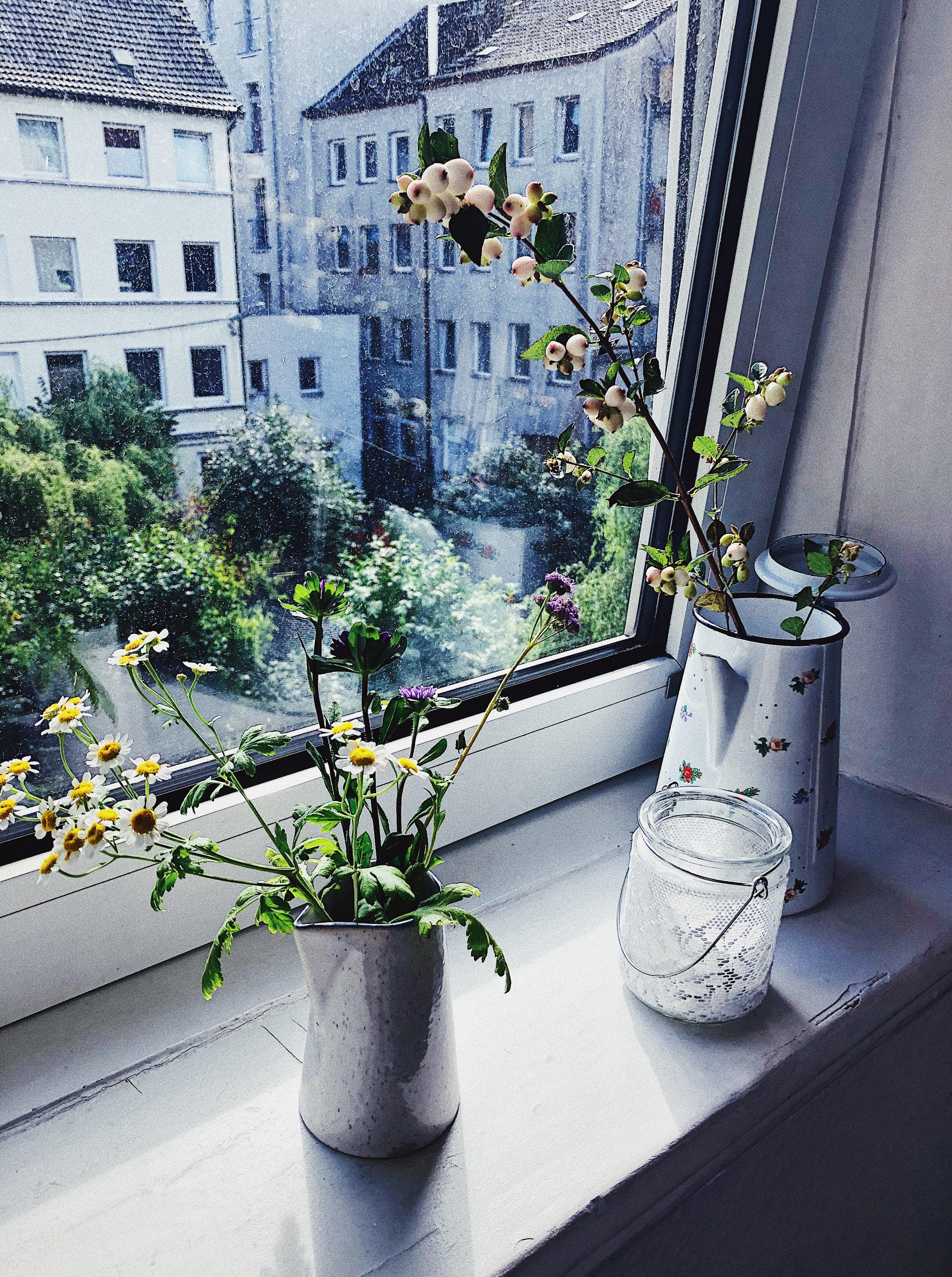 ROOM WITH A VIEW
#bedroomview #flowers #skandi #scandinavianliving #itsthelittlethings