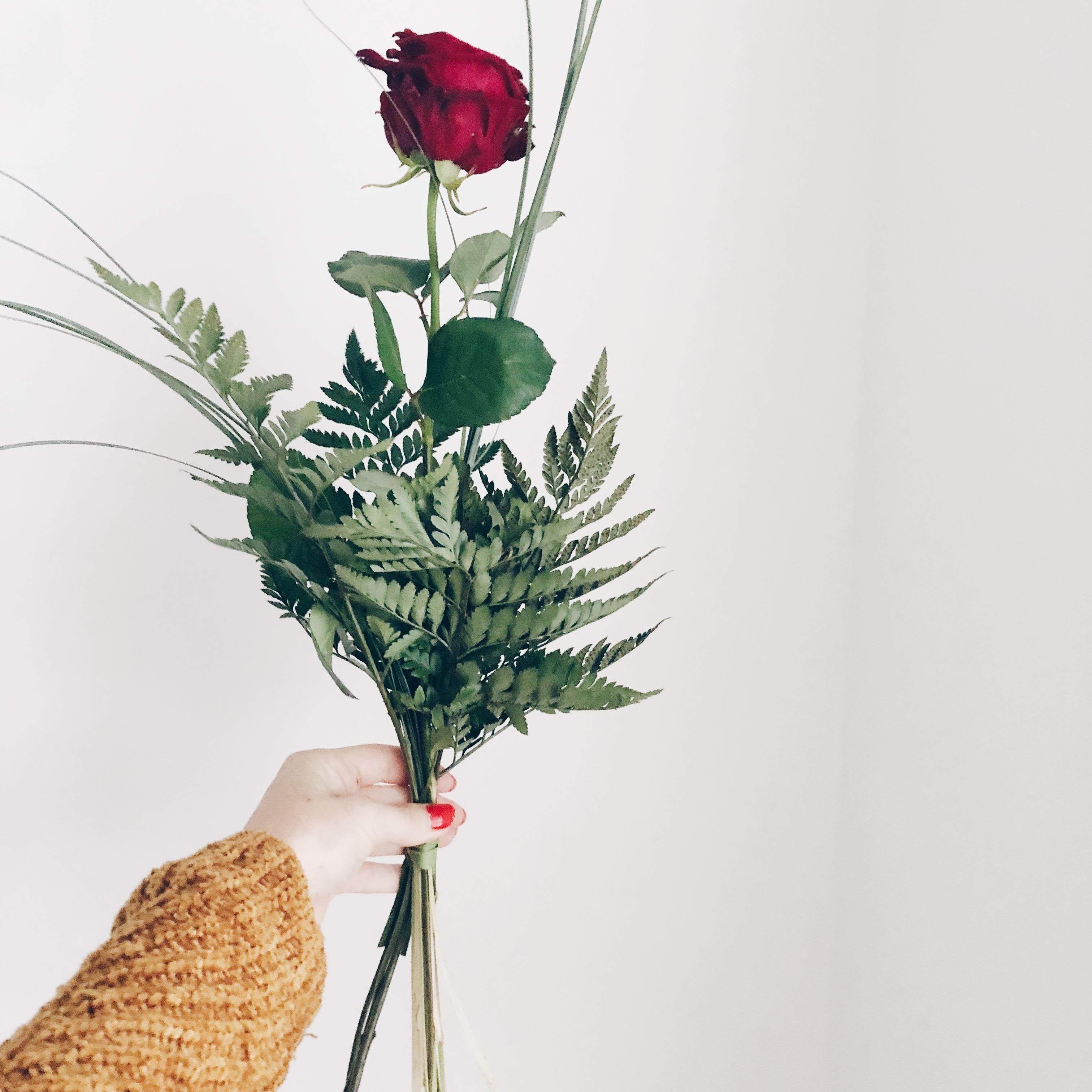 Rosenliebe❤️ #rose #flower #home #love #redrose