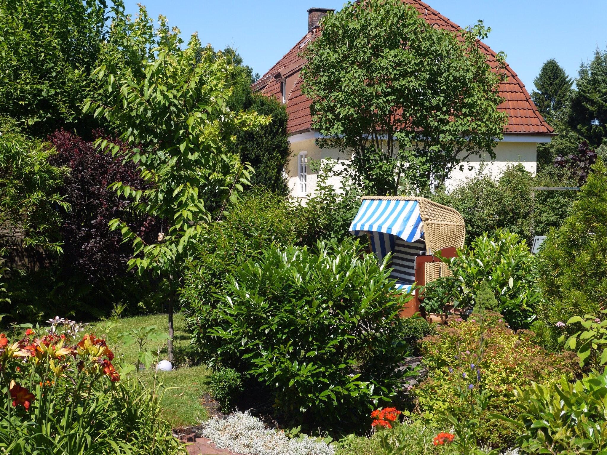 Ruheoase! #haus #grünergarten #gartenpflanzen #sitzgelegenheitgarten #terrassenpflanze