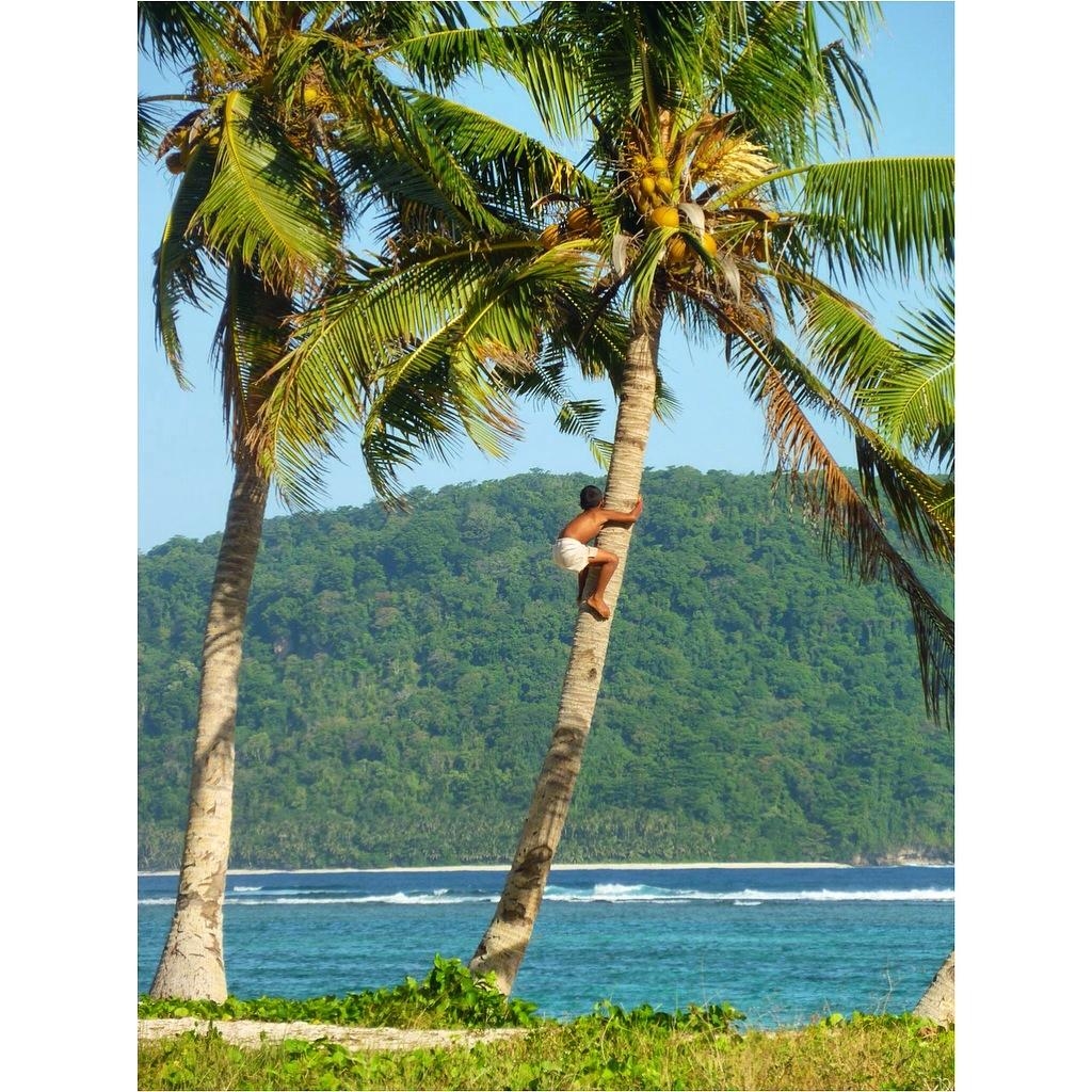 Samoa - die kleine Oase mitten im weitem Pazifik. #meinschönsterurlaub #travelchallenge 