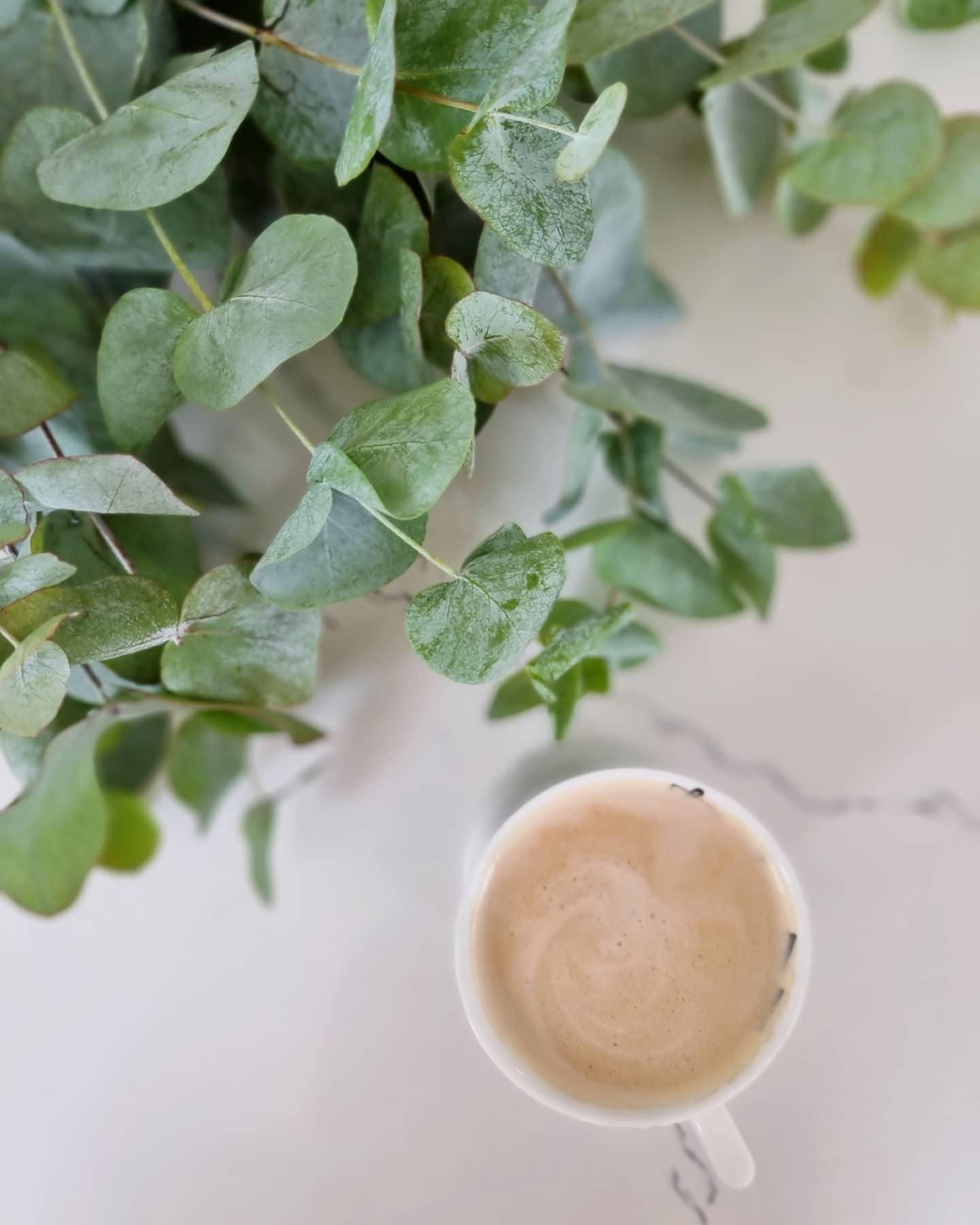 Samstag 🌿
#eukalyptus #grün #kaffee #kaffeeliebe #couchliebt 