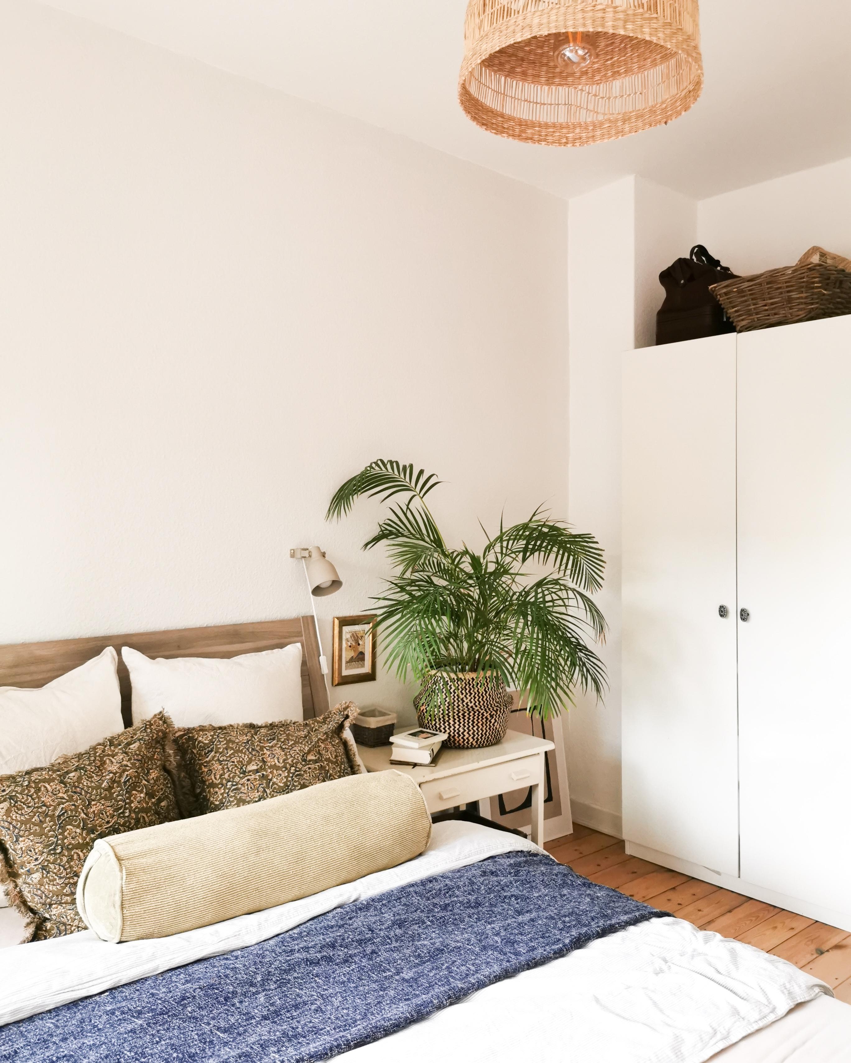 Sandfarbene Dielen, meeresblaue Decke, tiefgrüne Palme und nochmal im Bett umdrehen - Urlaub! #schlafzimmer #couchstyle