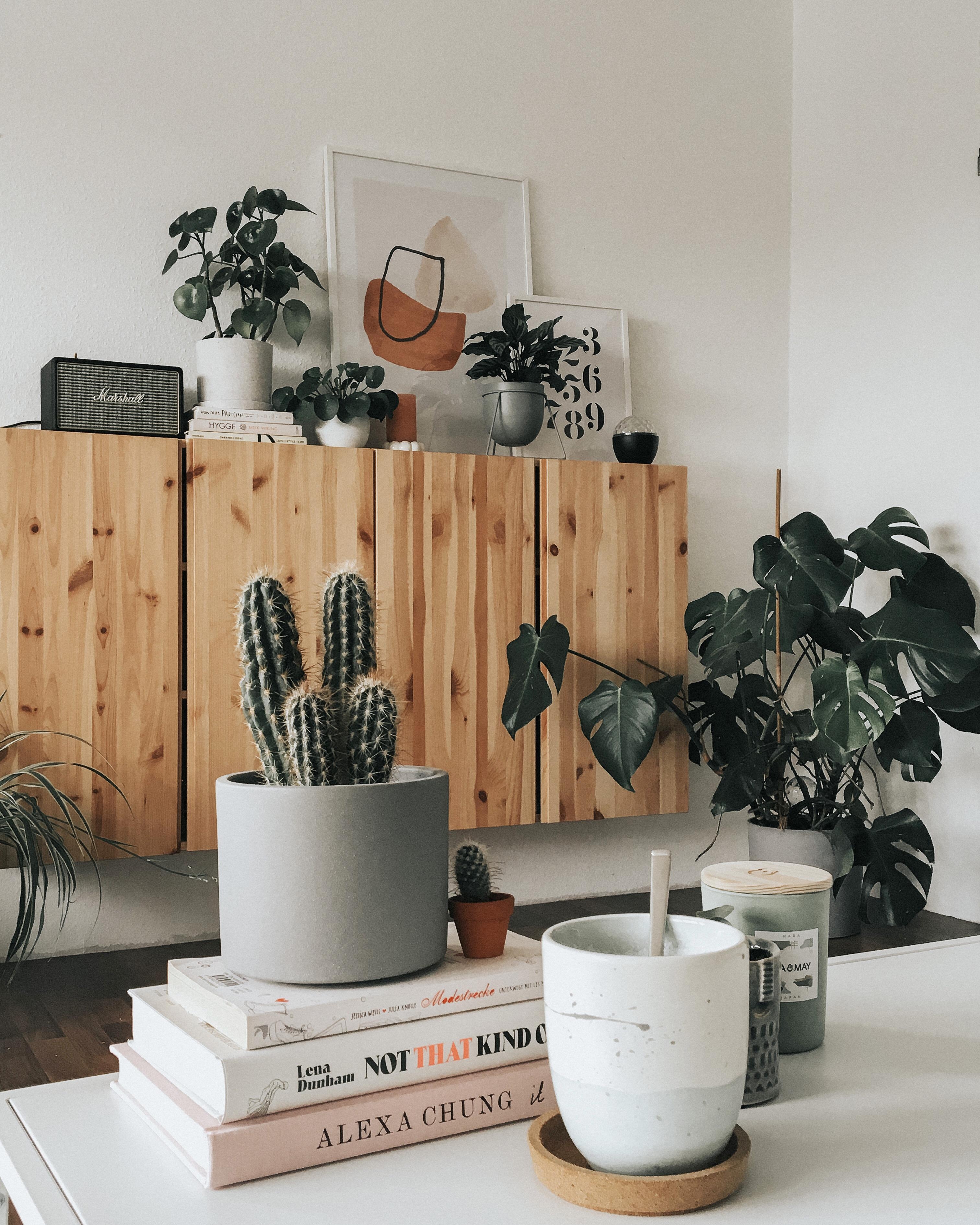 Saturday ☕️
#home #livingroom #cactus #plants #hygge #inspo #weekend #couchstyle