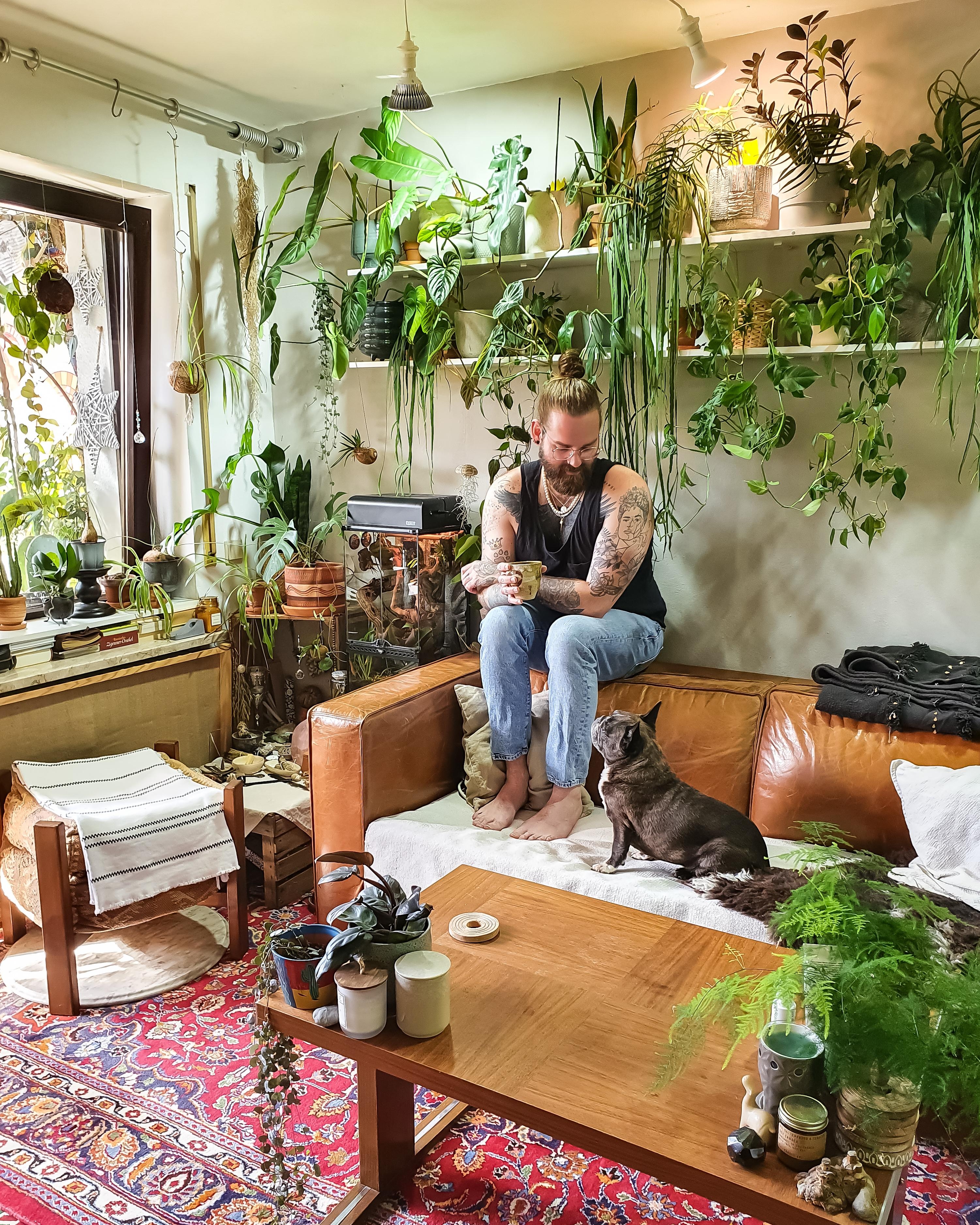 Say hi ✌🏼 #Wohnzimmer #Pflanzen #couchstyle #Couch #Sofa #Teppich #Tisch #couchtisch #boho #hippie