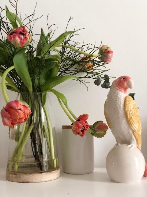 Say hi to Paul! #parrot #pagagei #papageientulpe #tulpen #tulips #vase #deko #blumendeko