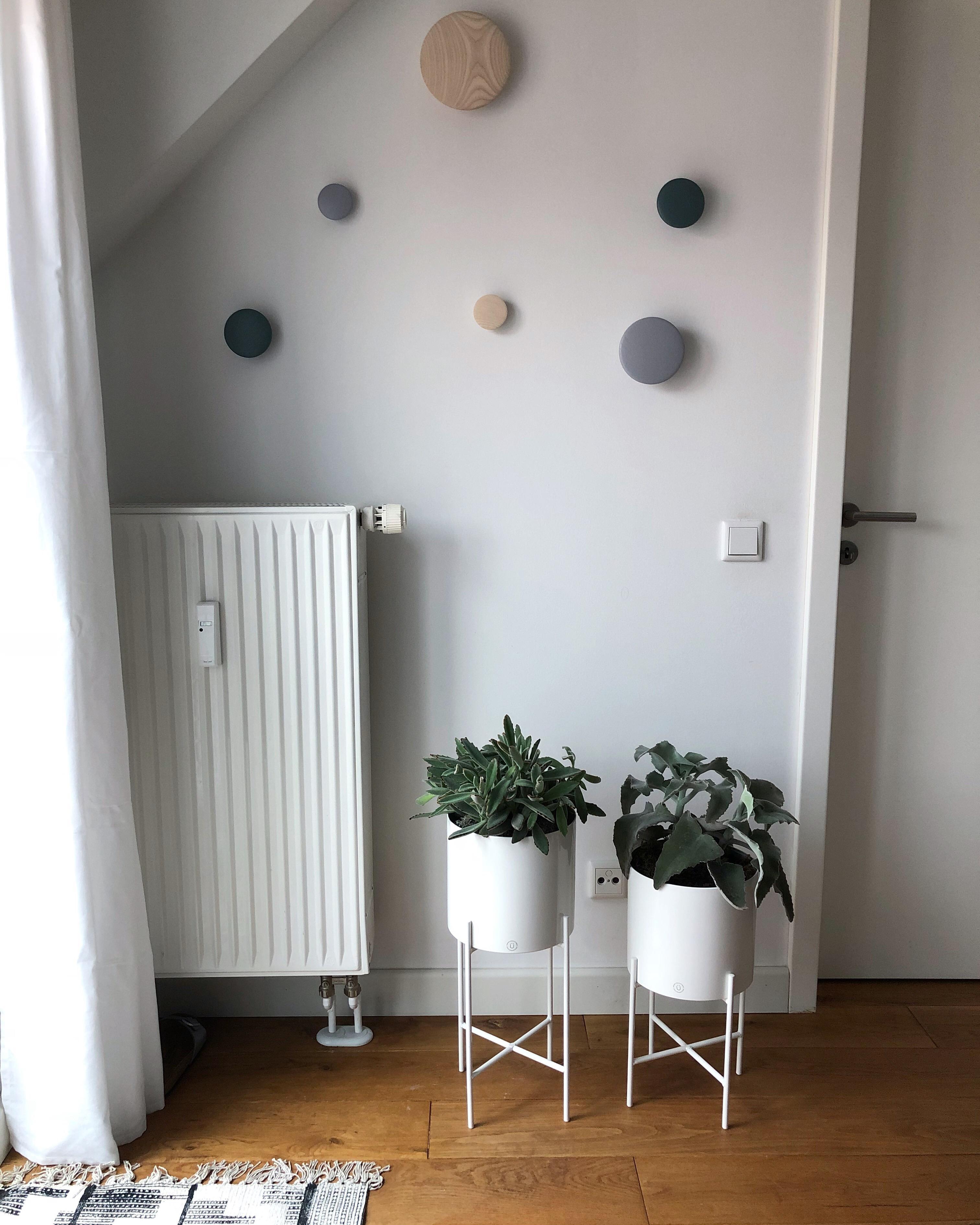 #scandinavianstyle #plantpots #livingroom #colours