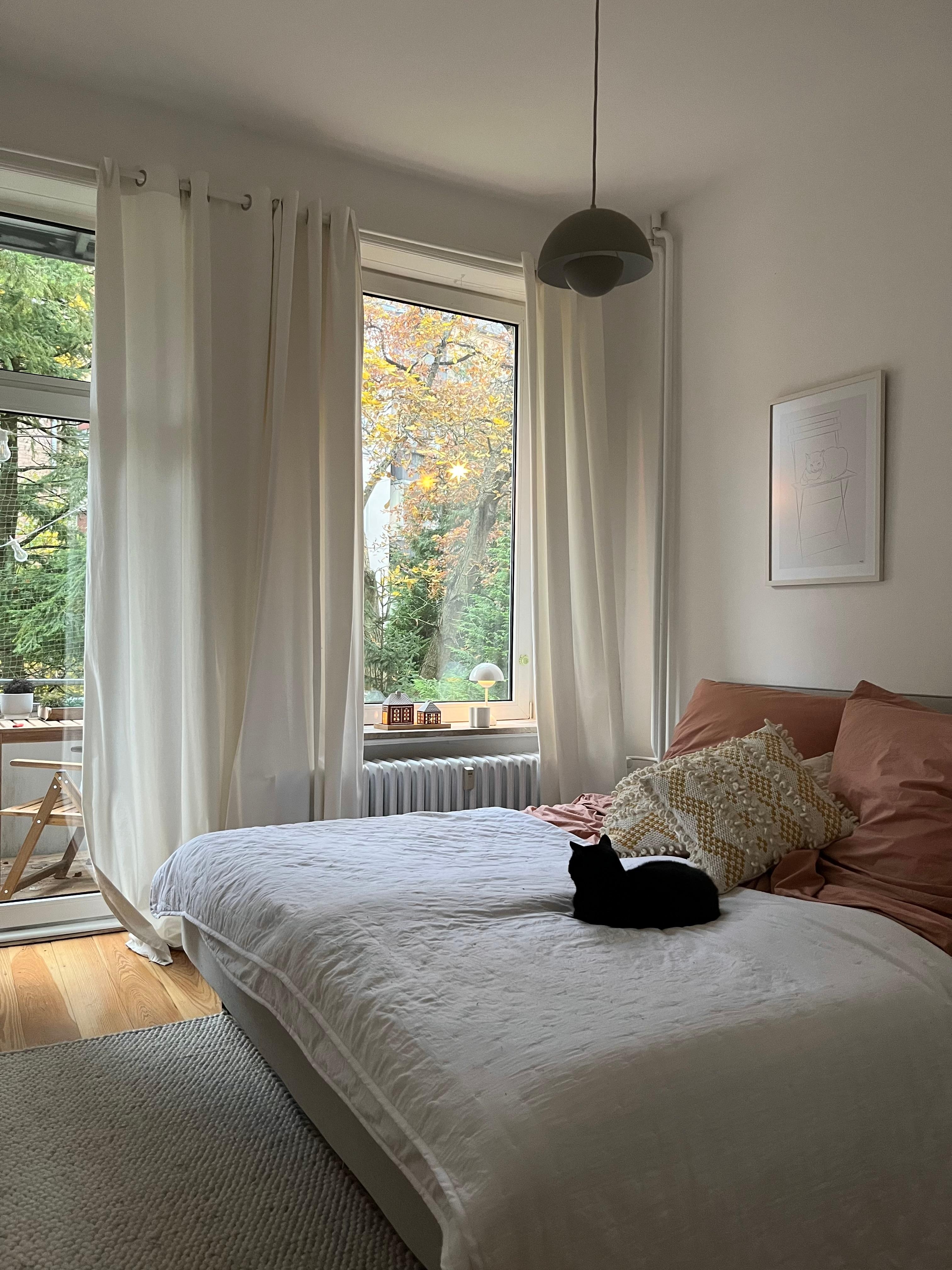 #schlafzimmer #altbauliebe #skandinavischwohnen #hygge #cozyvibes #katze 