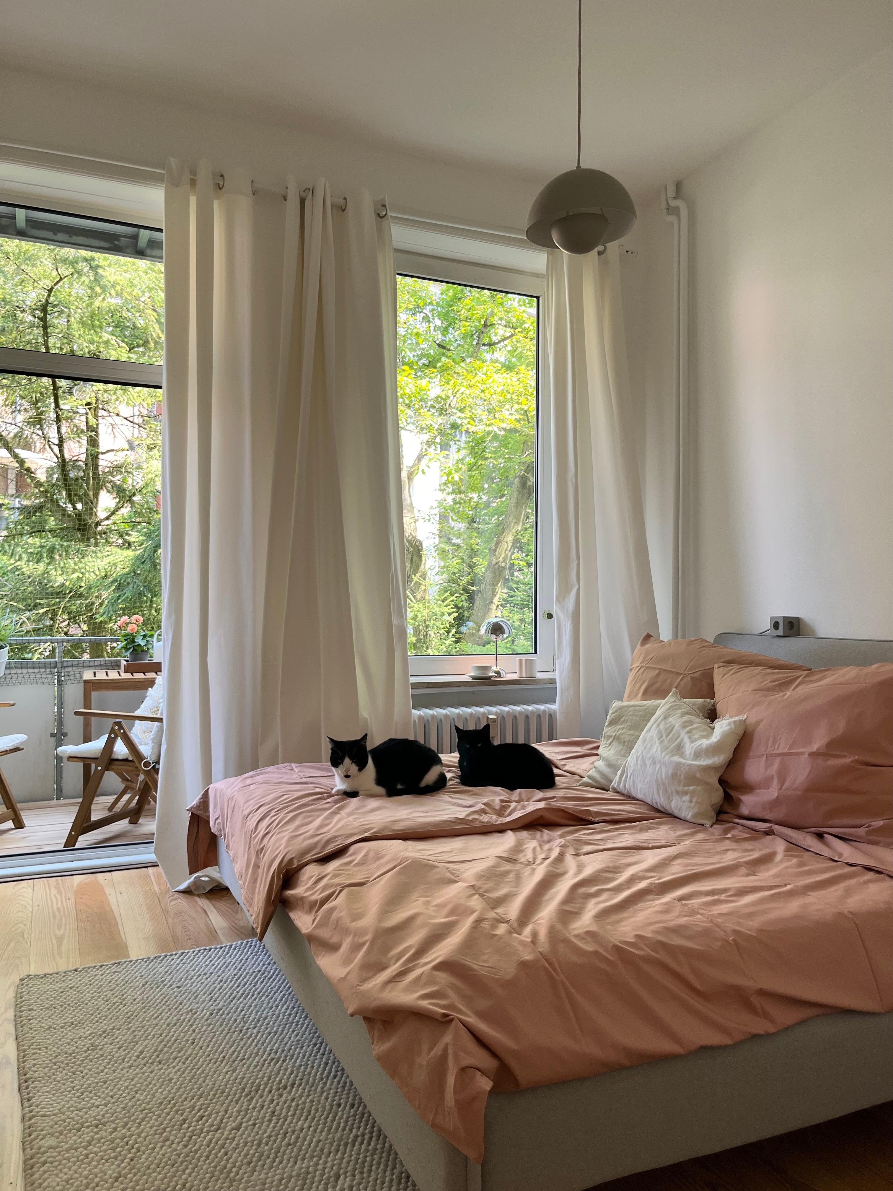 #schlafzimmer #altbauwohnung #katzen #altbauliebe #blickinsgrüne #balkon #skandinavischwohnen 