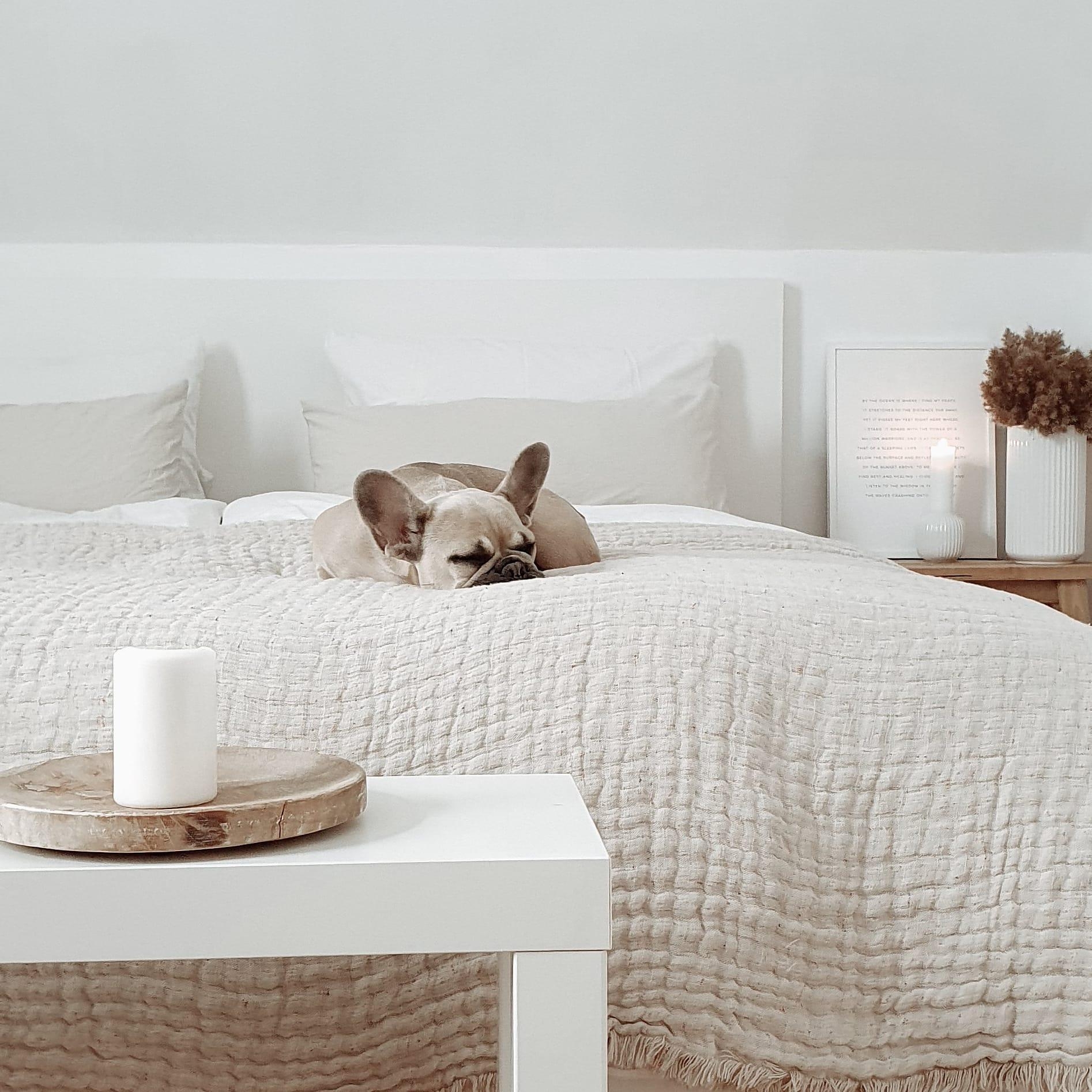 #schlafzimmer #bedroom #weiss #white #holz #frenchie #bulldog #nature #skandistyle #skandi