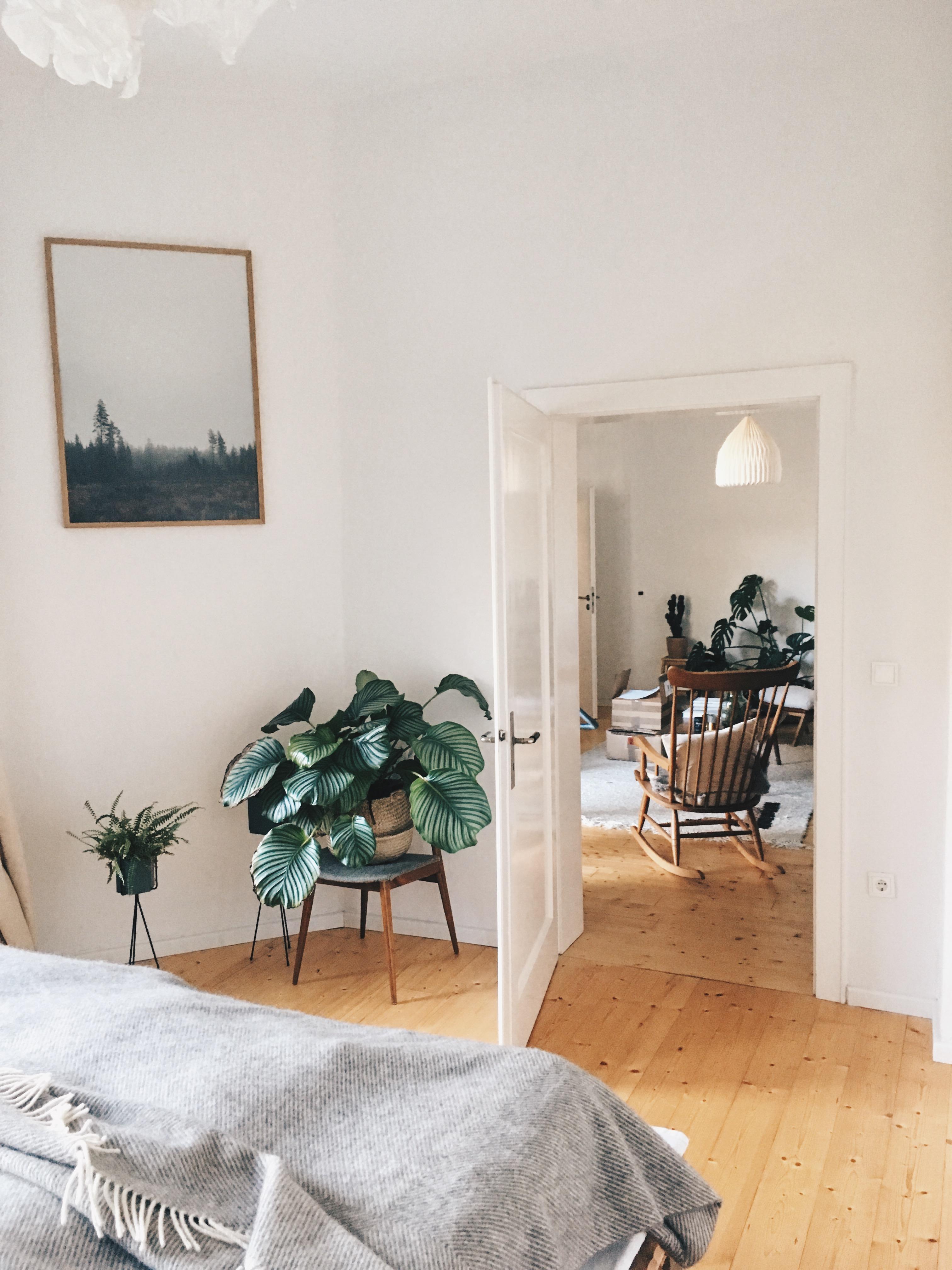 Schlafzimmer: Bett, Pflanzen, Bild mehr braucht es nicht 
#plantlover