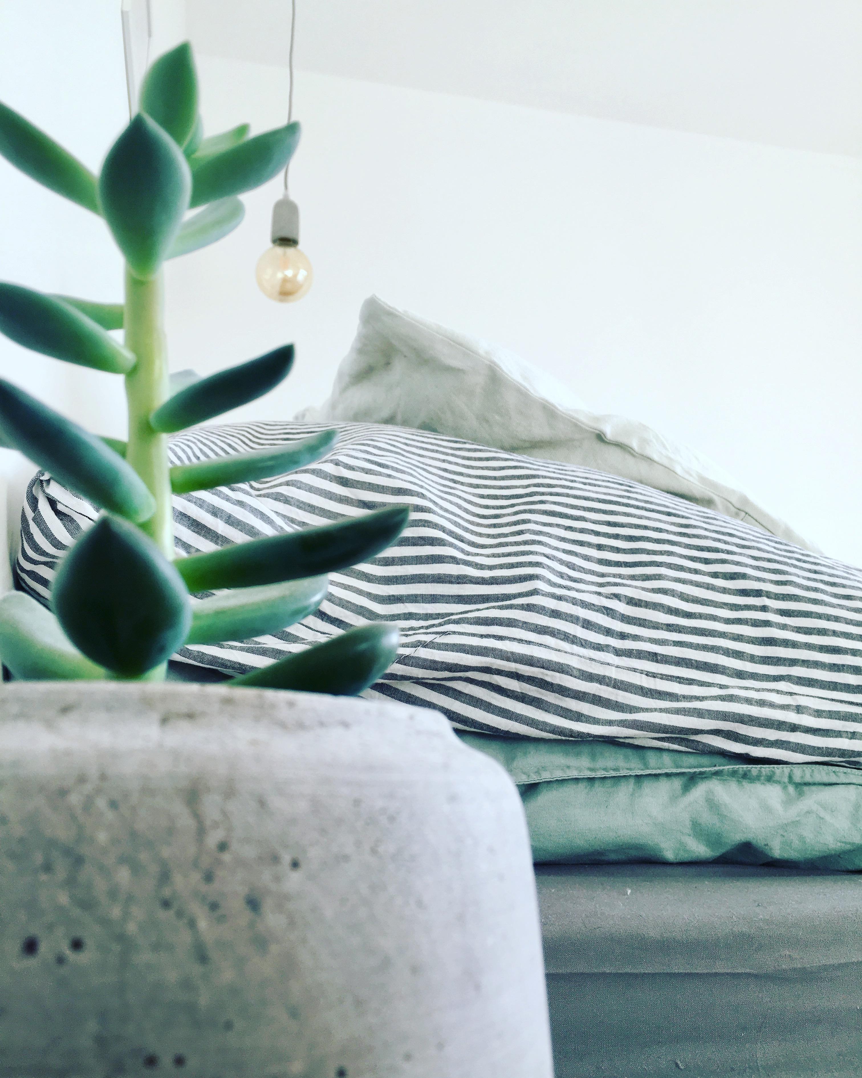 Schlafzimmer Einblick #meinZuhause #myhome #bedroomview #scandinavianhome #streifenliebe #grünzeugs 