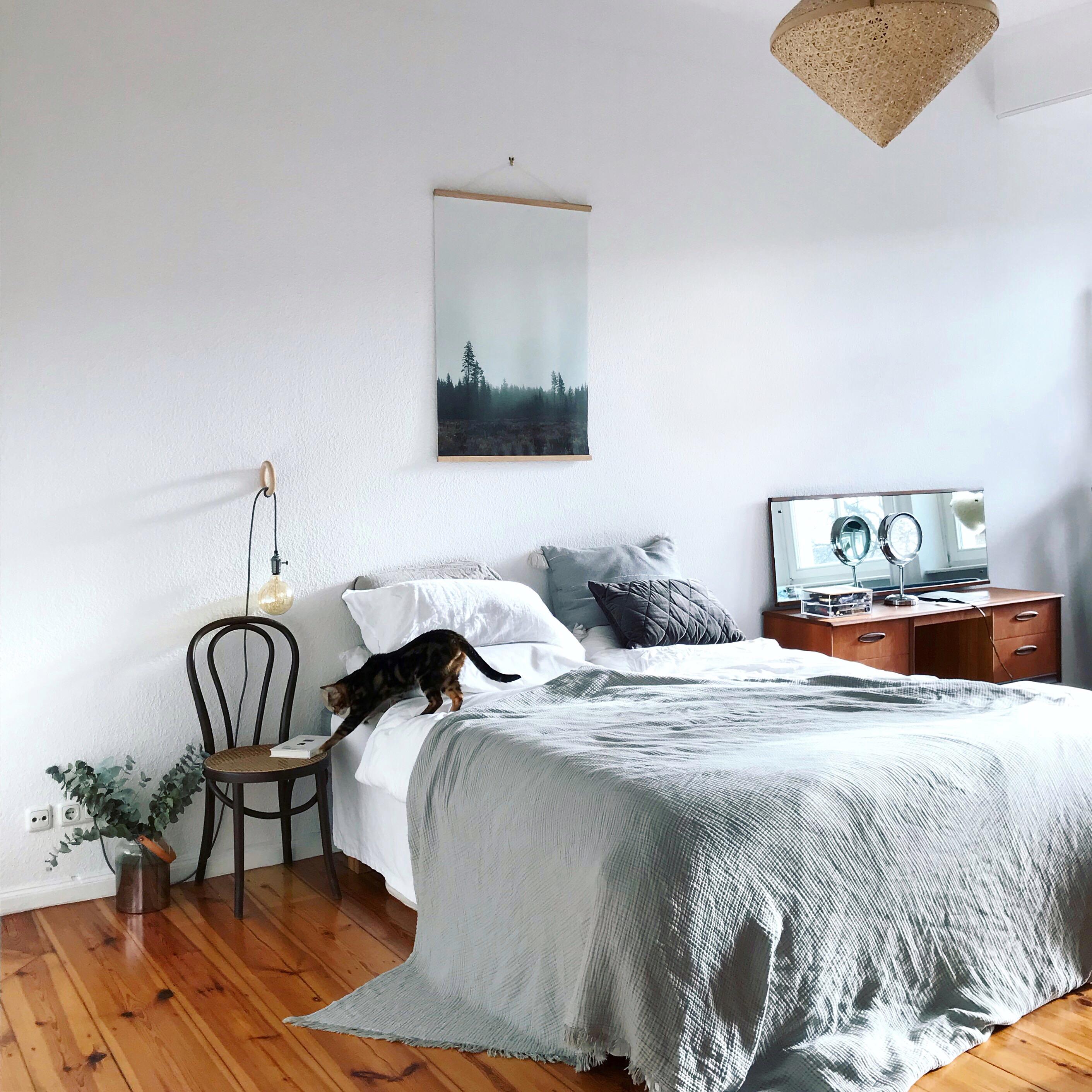 Schlafzimmer im Katzenhaushalt. 
#neuhier #couchliebt