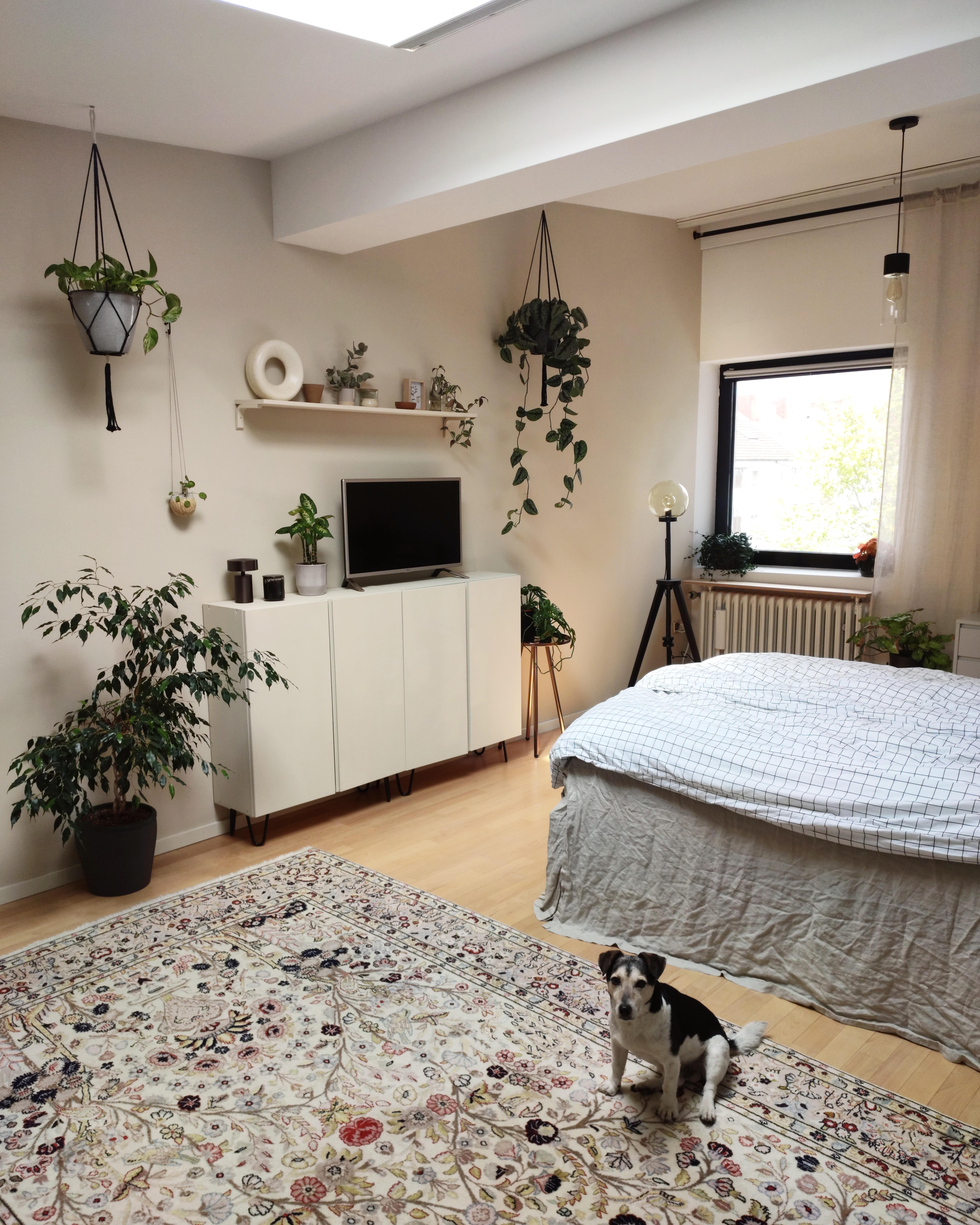 Schlafzimmer in Beige mit Hund

#beige #perserteppich #schlafzimmer