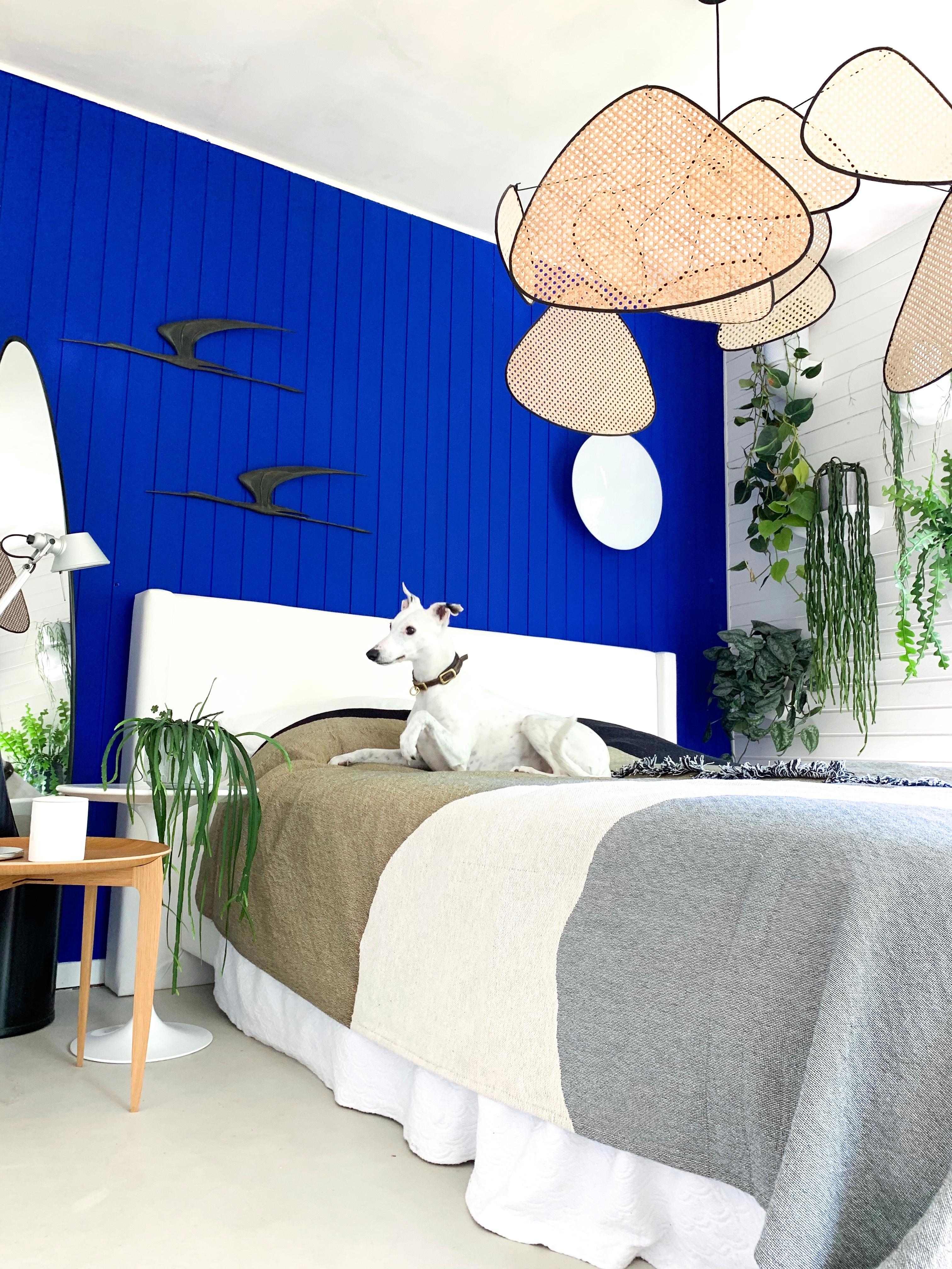 Schlafzimmer-Makeover in Yves Klein Blau 💙 #schlafzimmer #mutzurfarbe 