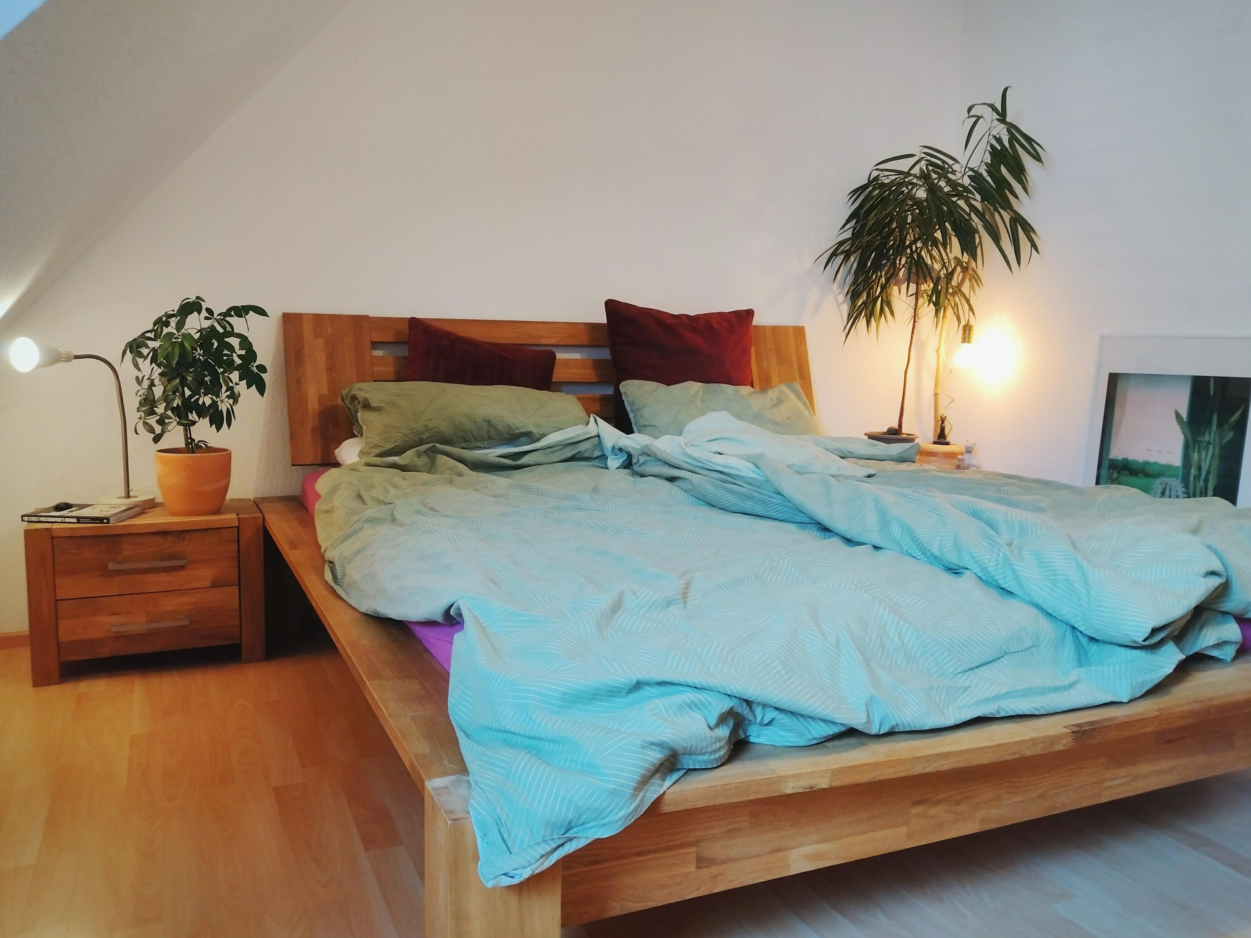 #schlafzimmer #zimmerpflanzen #dachgeschoss #dachgeschosswohnung #grün #zimmerpflanzen 