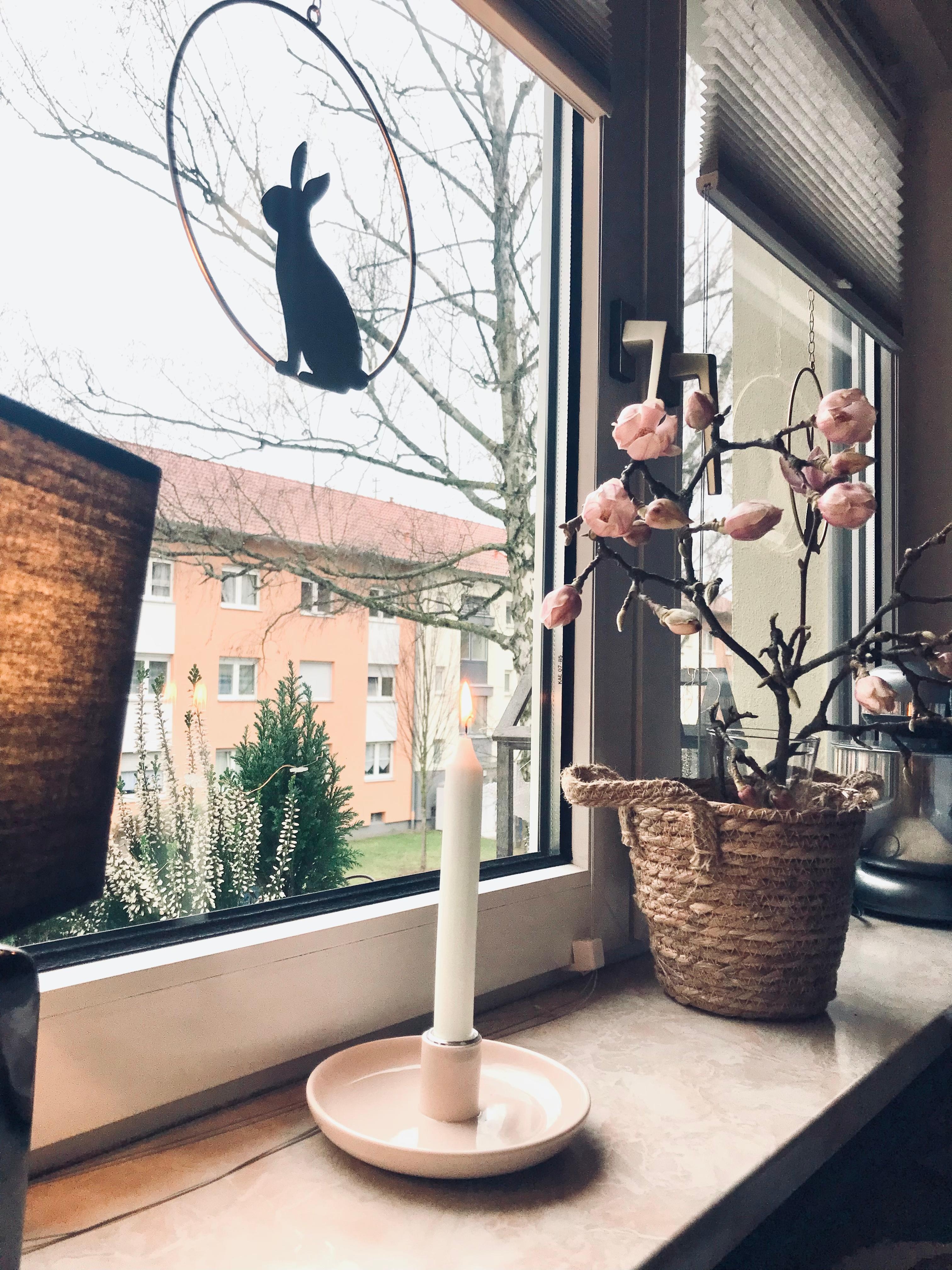 Schlecht Wetter Zeit für Gemütlichkeit🕯 
#magnolie #zweig #fensterdeko #home #living #cozy #hase #tischlampe 