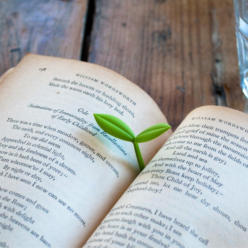 Schluss mit langweiligen Lesezeichen. Dieser kleine Sprossen verleiht jedem Bücherregal neues Leben #coanoa #lesezeichen
