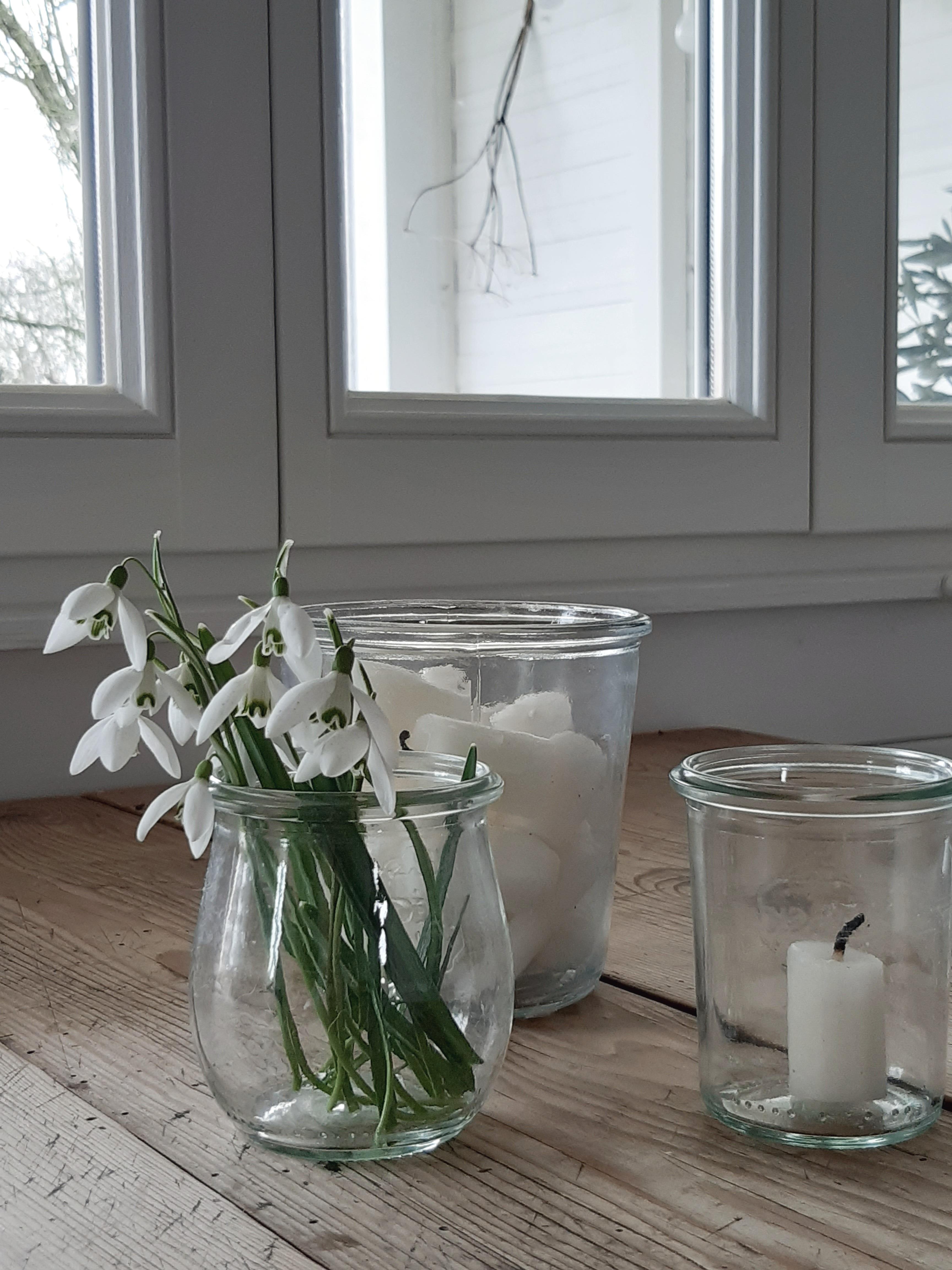 Schneeglöckchenliebe...kleine Vorfreude auf den Frühling...mag den Februar aber so, wie er ist 🤍 #couchliebt #blumendeko #kleineküche #interior