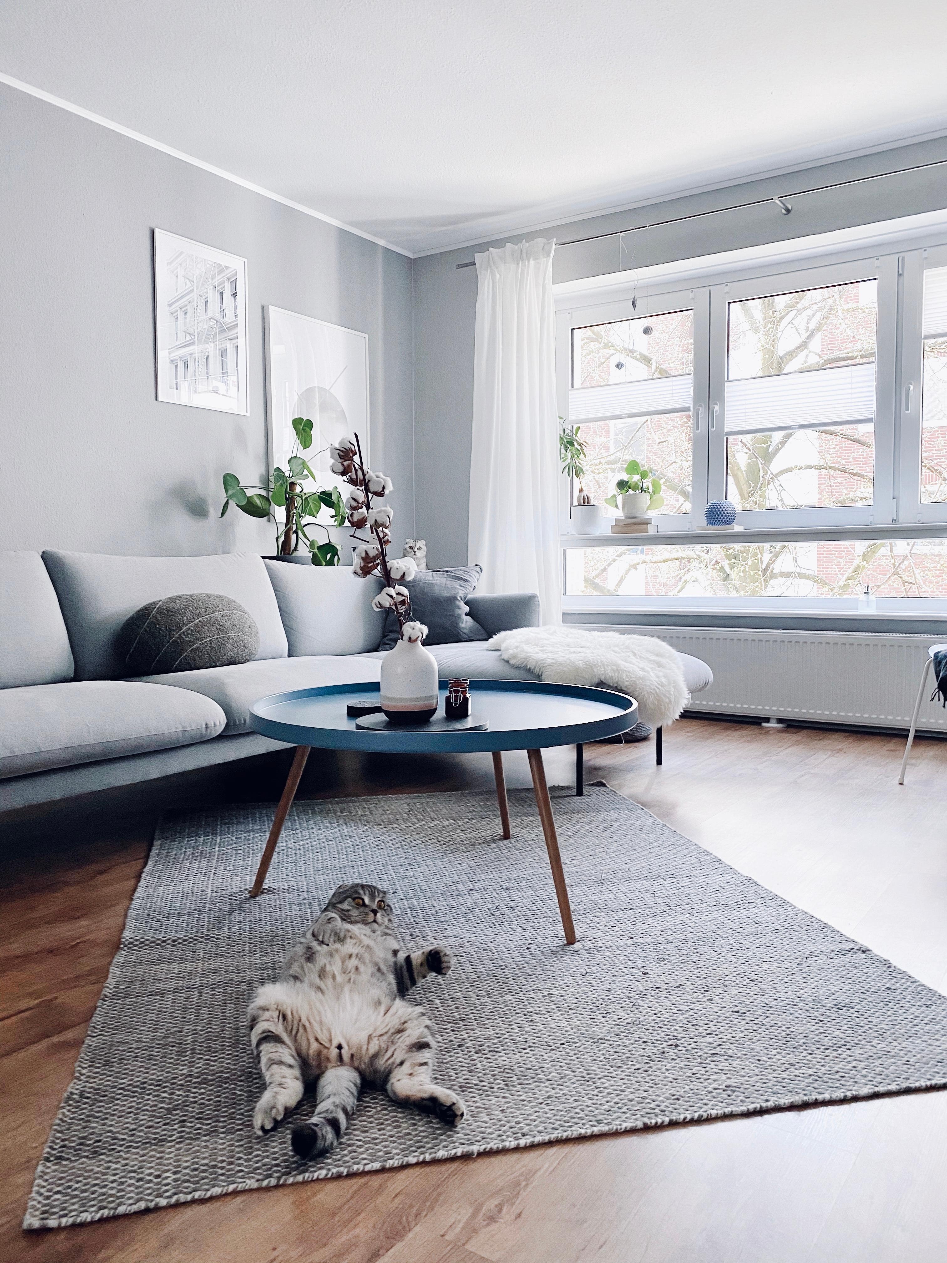 Schöne Feiertage! 
#interior #livingroom #catlover #greylover #monochrome #minimalism