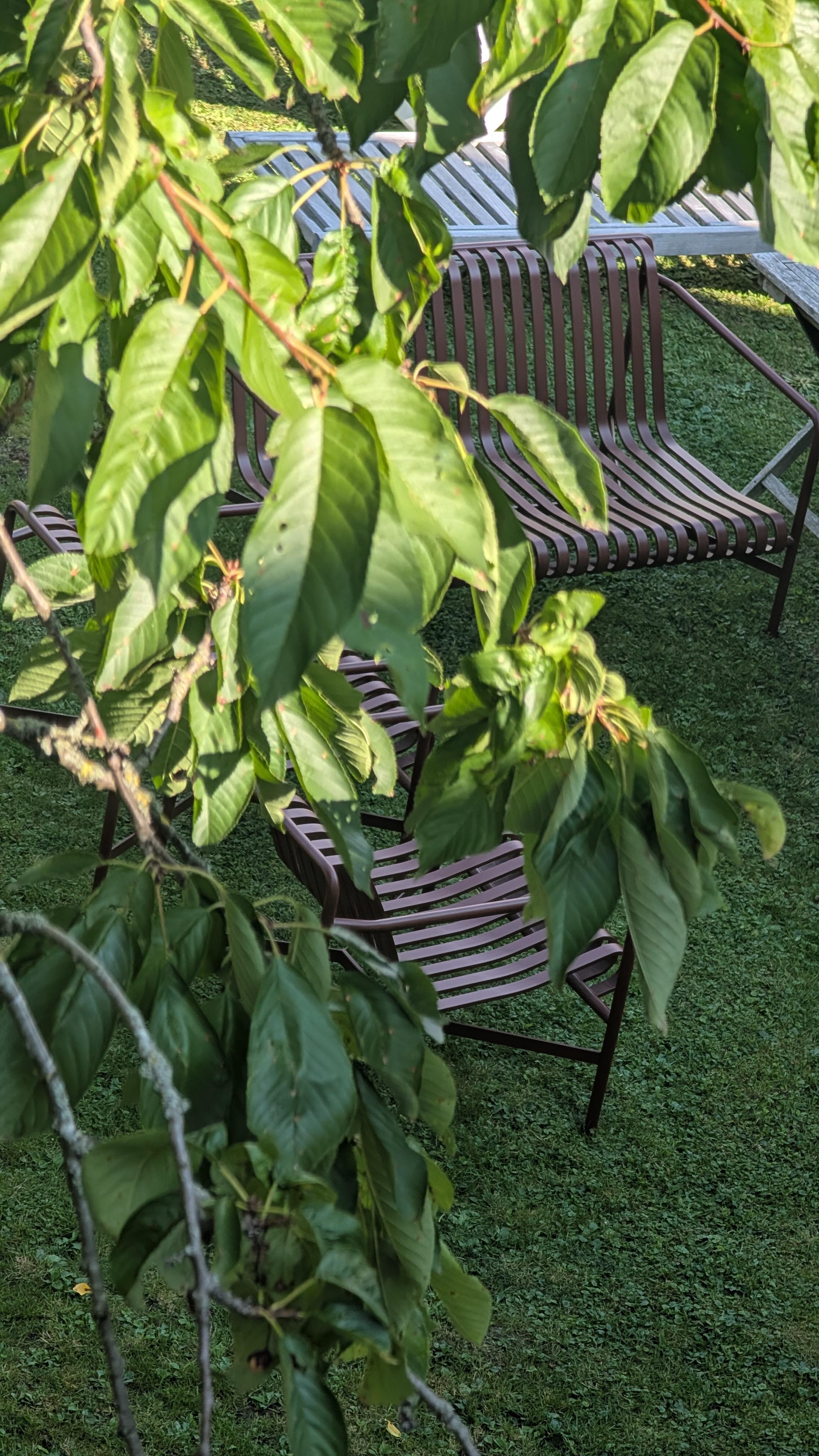 Schönen Sonntag. Wir nutzen das Wetter heute im Garten. 