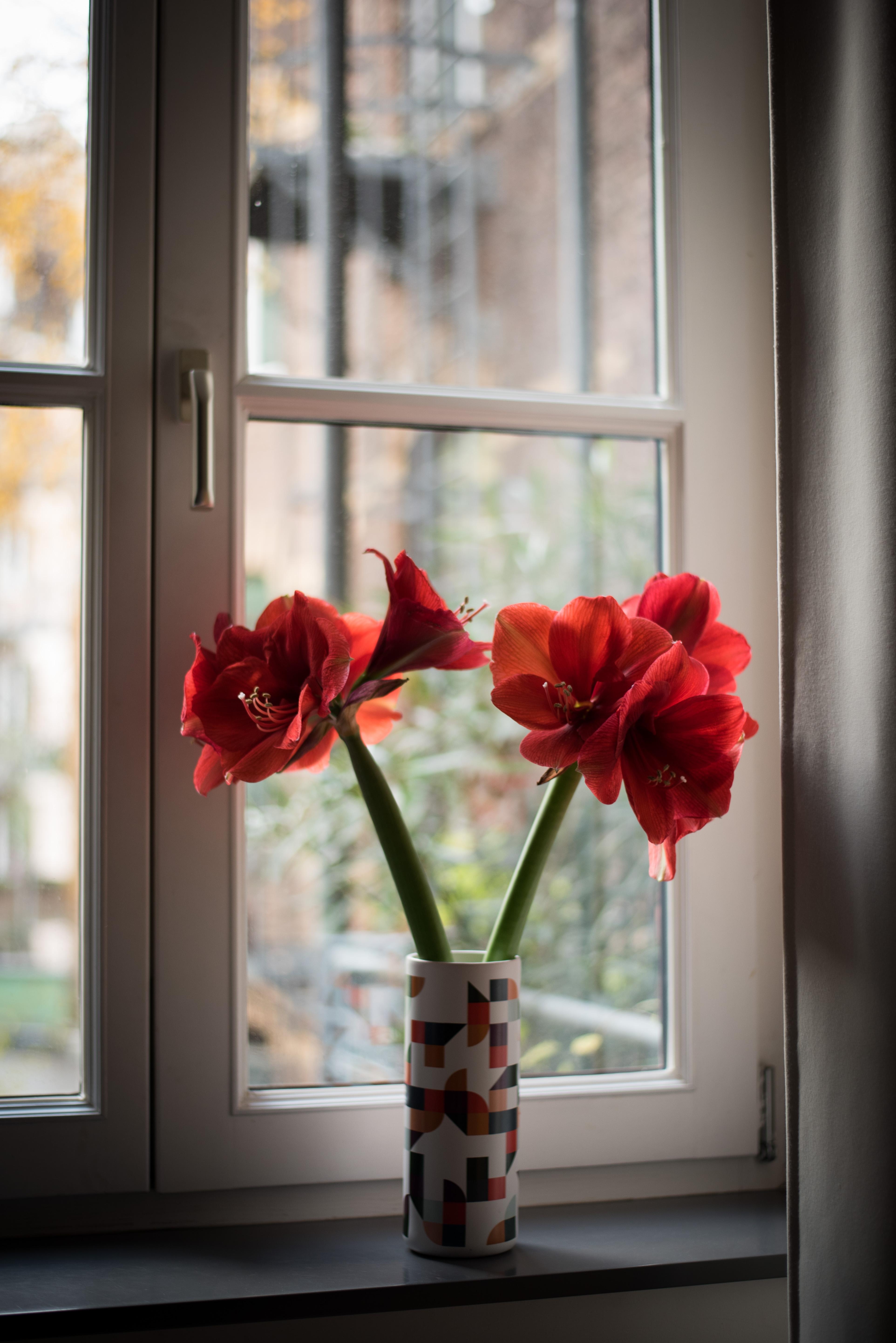 Schönen Vasenmittwoch!
#freshflowers #interior #interiorinspiration