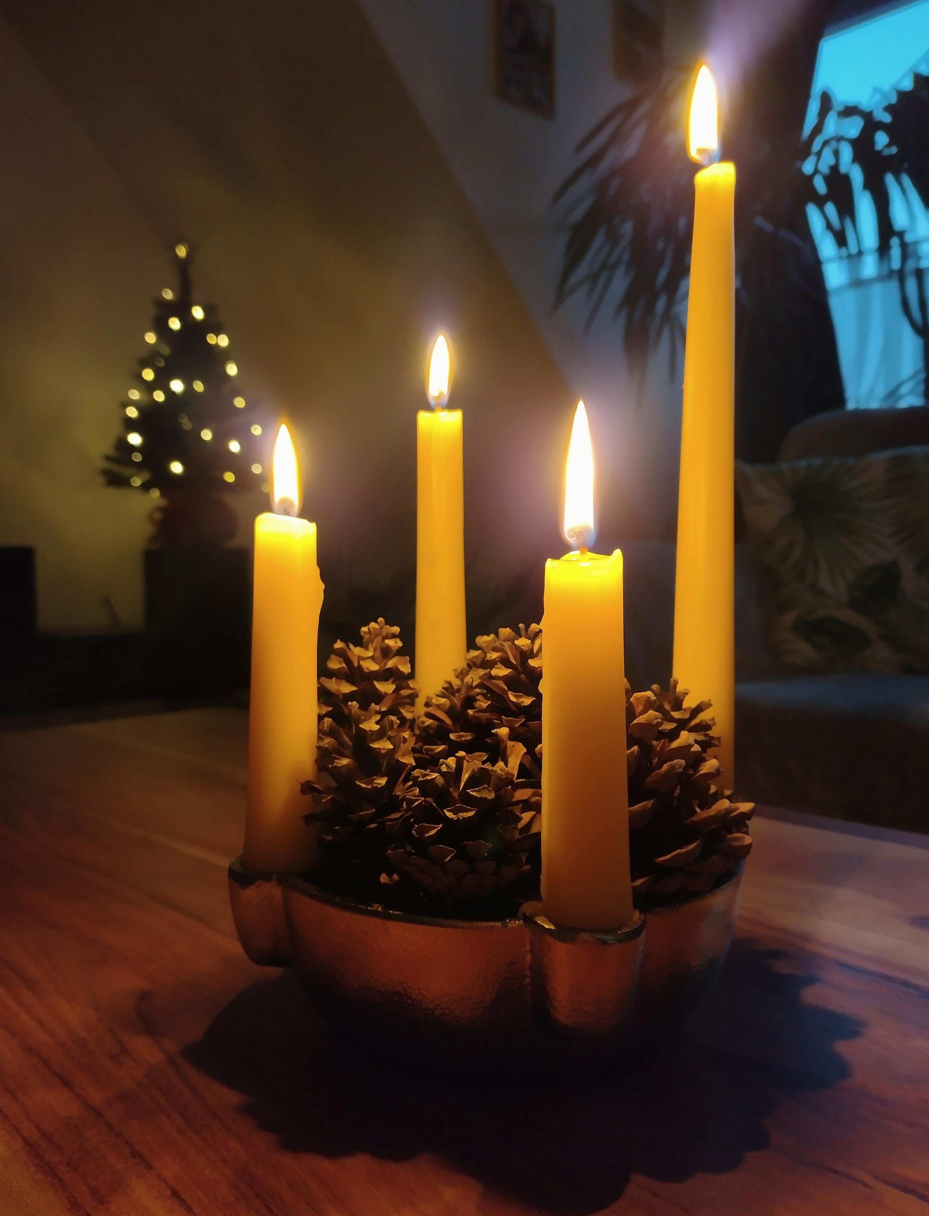 Schönen vierten Advent wünsche ich 🕯️🕯️🕯️🕯️ #kerzen #tannenbaum #licht #advent #weihnachtlich