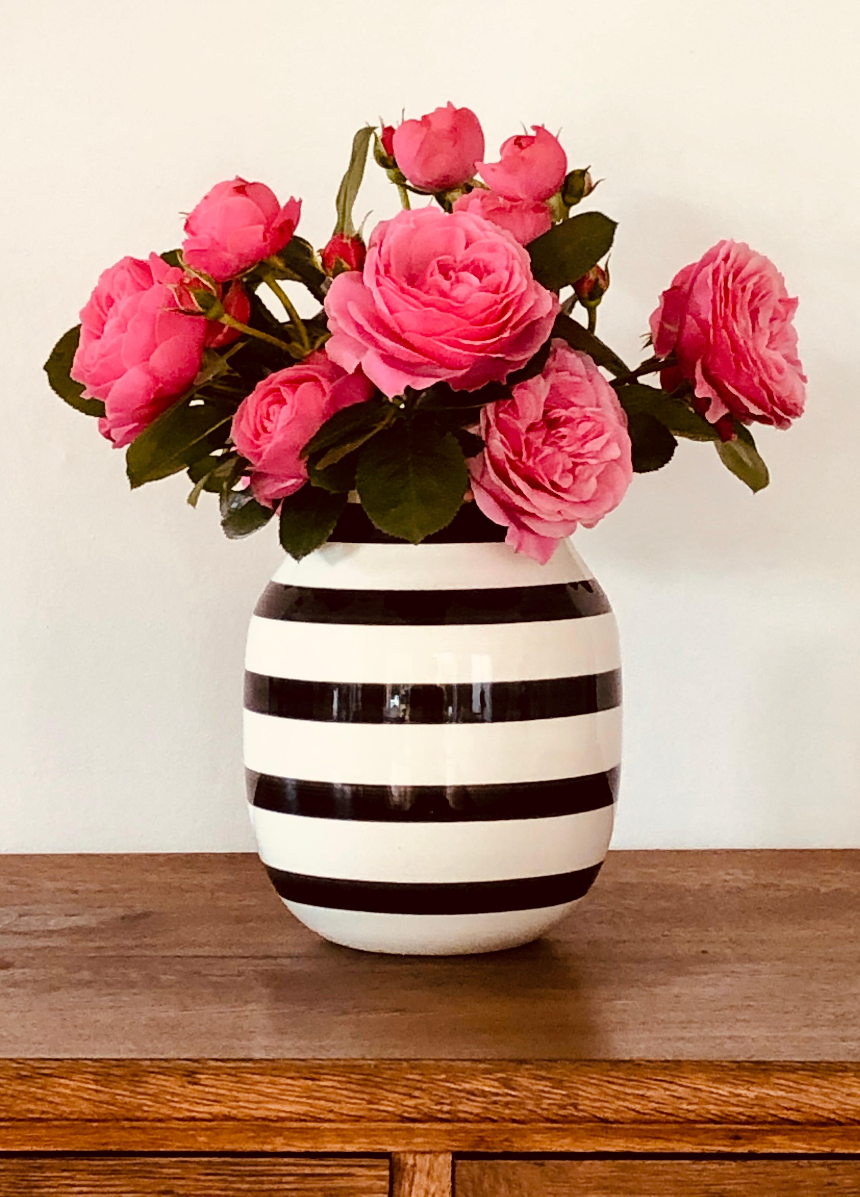Schönes Wochenende!
#gartenrosen #Vasenliebe #blumenglück #rosen