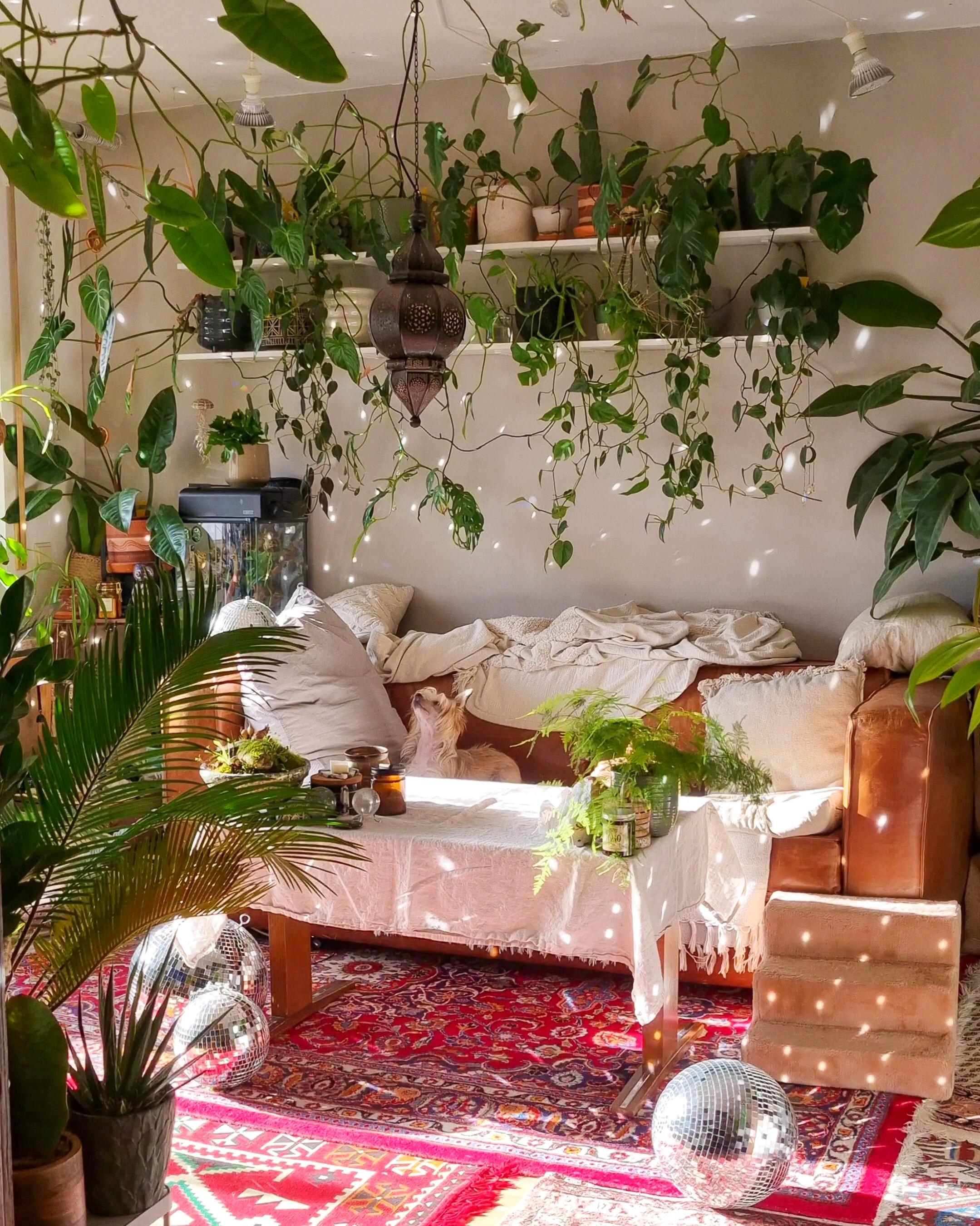 Schönes Wochenende #Wohnzimmer #Pflanzen #Regal #Couch #Sofa #Teppich #boho #hippie #hygge #deko #dekoidee #Sonne #Disco