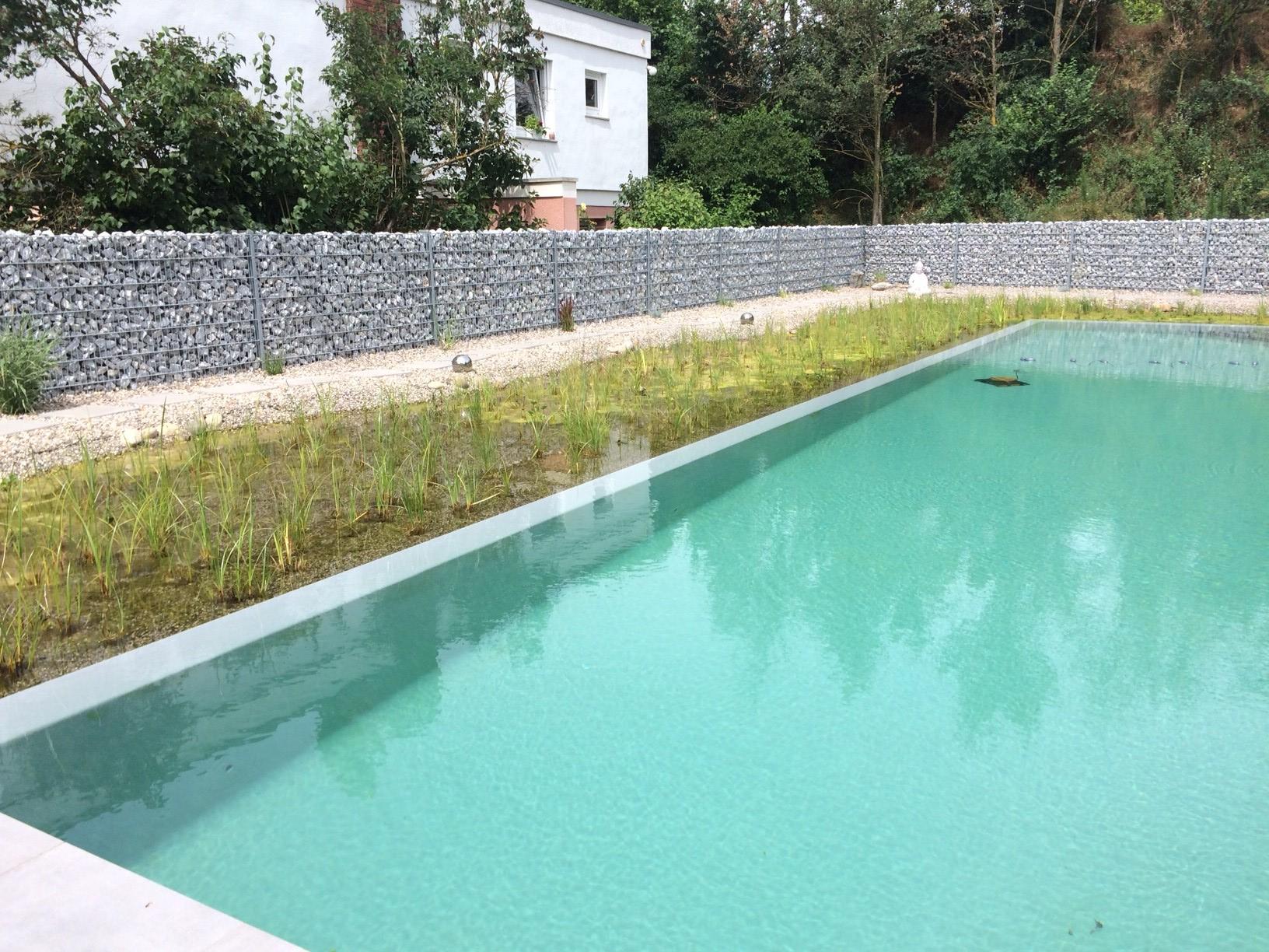 Schwimmteich mit Überlaufkante #pool ©AquaNatur GmbH