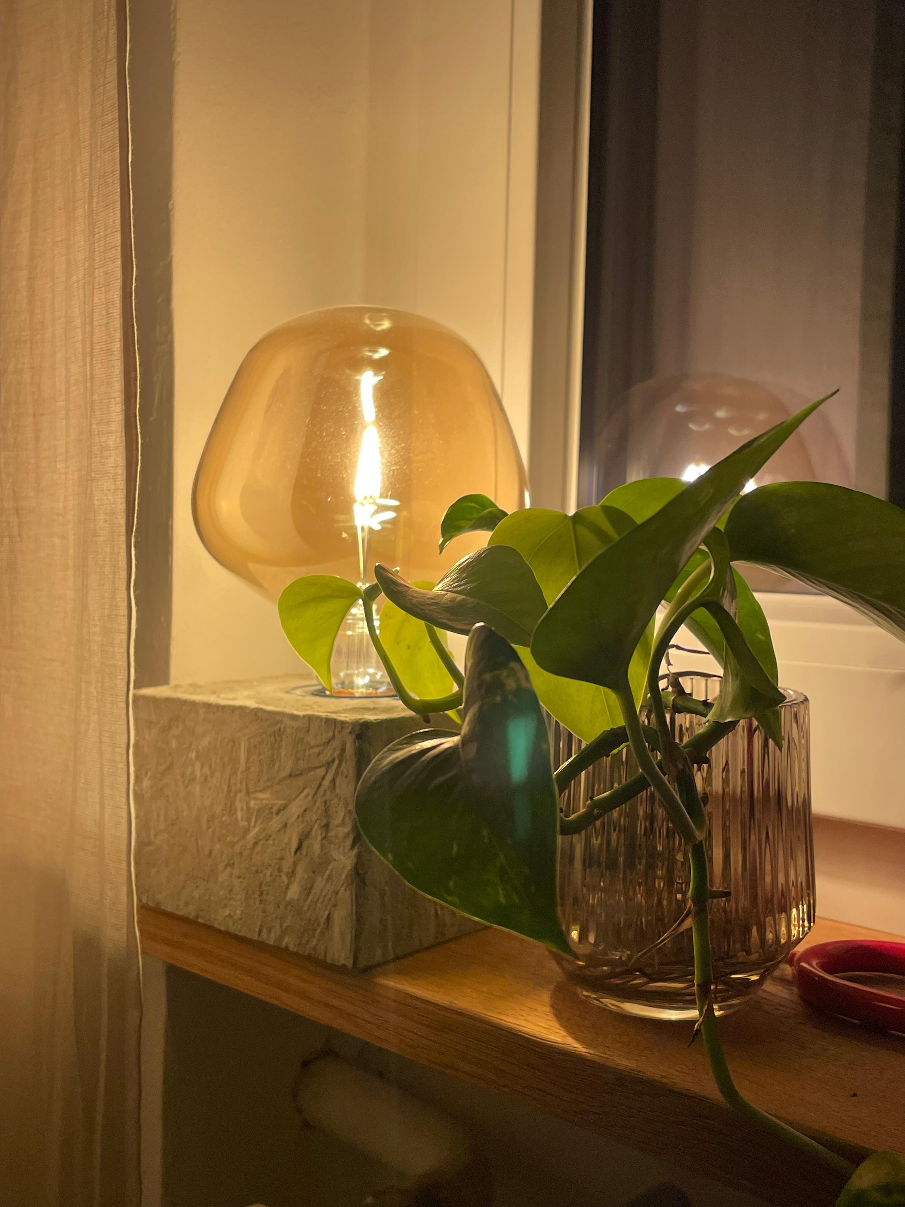 Sehr verliebt in meine DIY Lieblingslampe aus Beton #lampe #livingchallenge