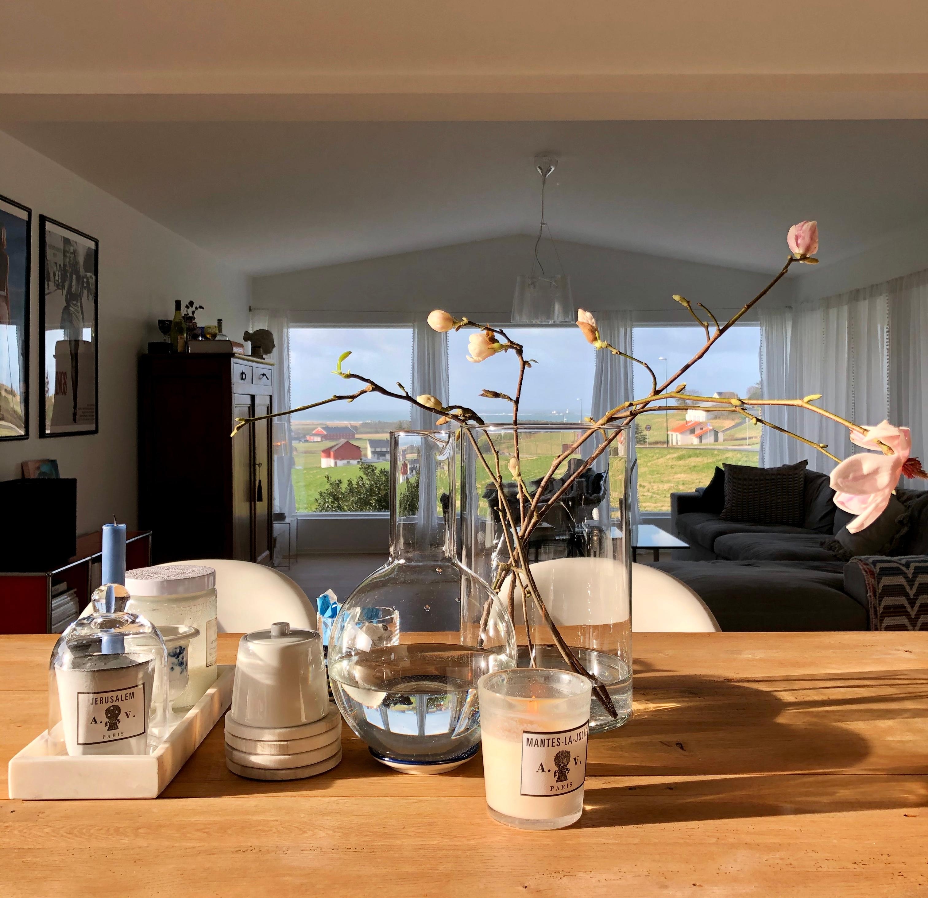 Seit Wochen stürmt es bei uns in Stavanger, doch heute wurden wir für das ausharren von ein paar Sonnenstrahlen belohnt🙂