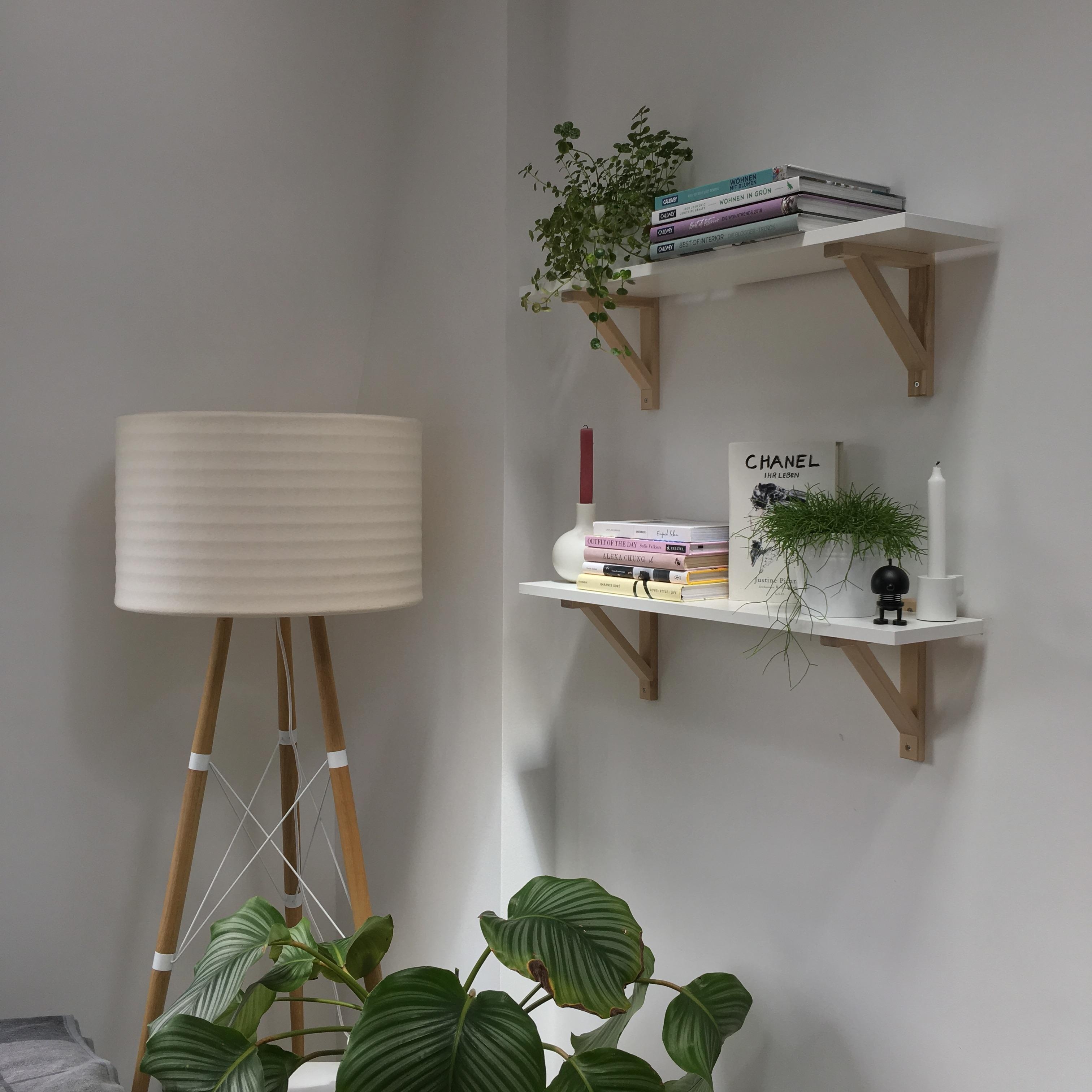 Selbst montiert 😊
#shelfie #skandinavisch #white #pflanzenliebe #greens #regale #living #interior #wohnzimmer
