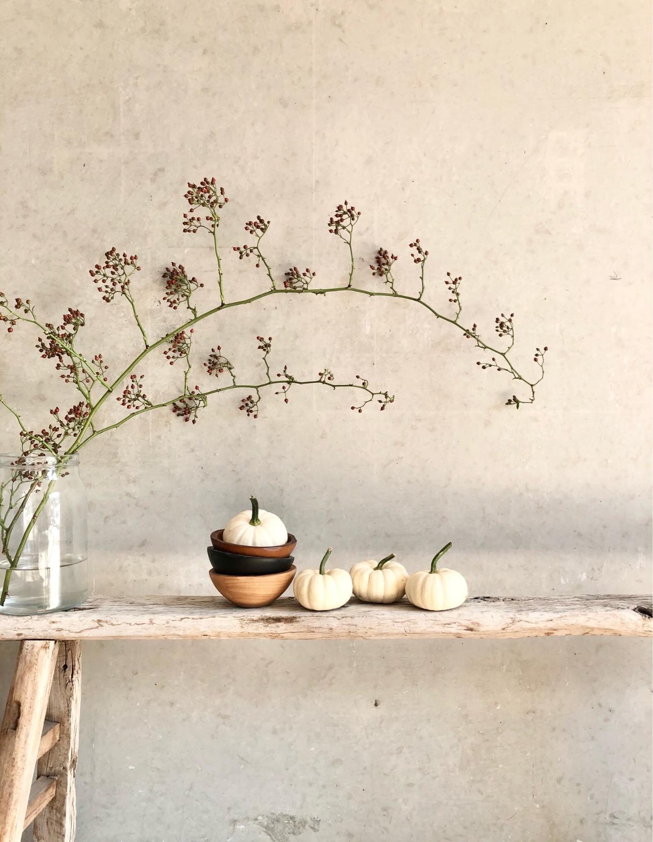 September 🧡 #kürbis #herbstdeko #herbst #spätsommer #babyboos #hagebutten #herbstfarben #herbstboten #betonwand #alteshaus #holzbank #vintage