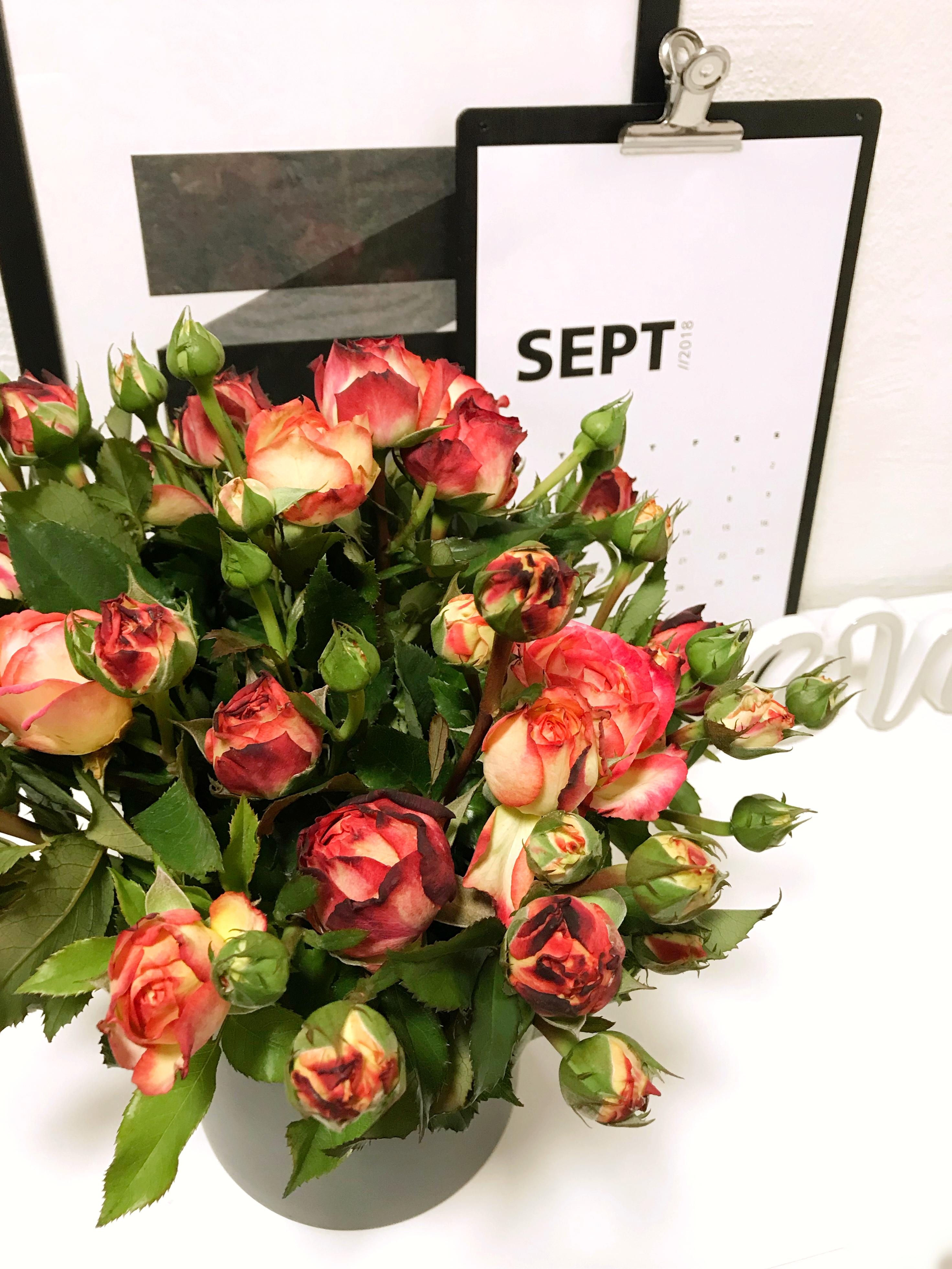 Septemberblümchen geschenkt bekommen 😍 #rosen #vase #blackandwhite #flur #deko #kalender #september #herbst #blumen 