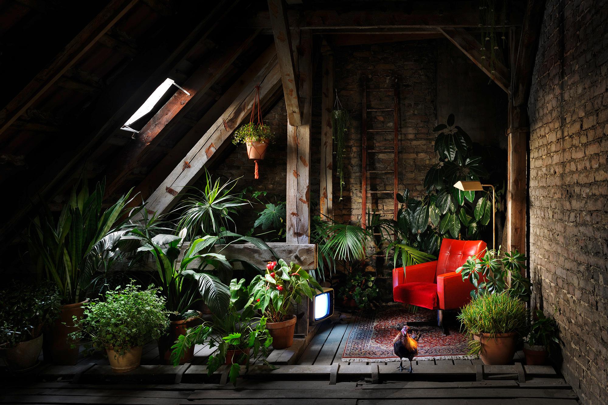 Set Design #wohnzimmer #zimmerpflanze ©Philipp Lohöfener